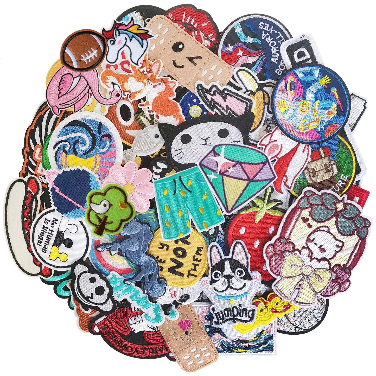 60Pcs Random Assorted Styles Embroidered Patches, Sew on/Iron on Patch Applique for Clothes, Dress, Hat, Jeans, DIY Accessories
