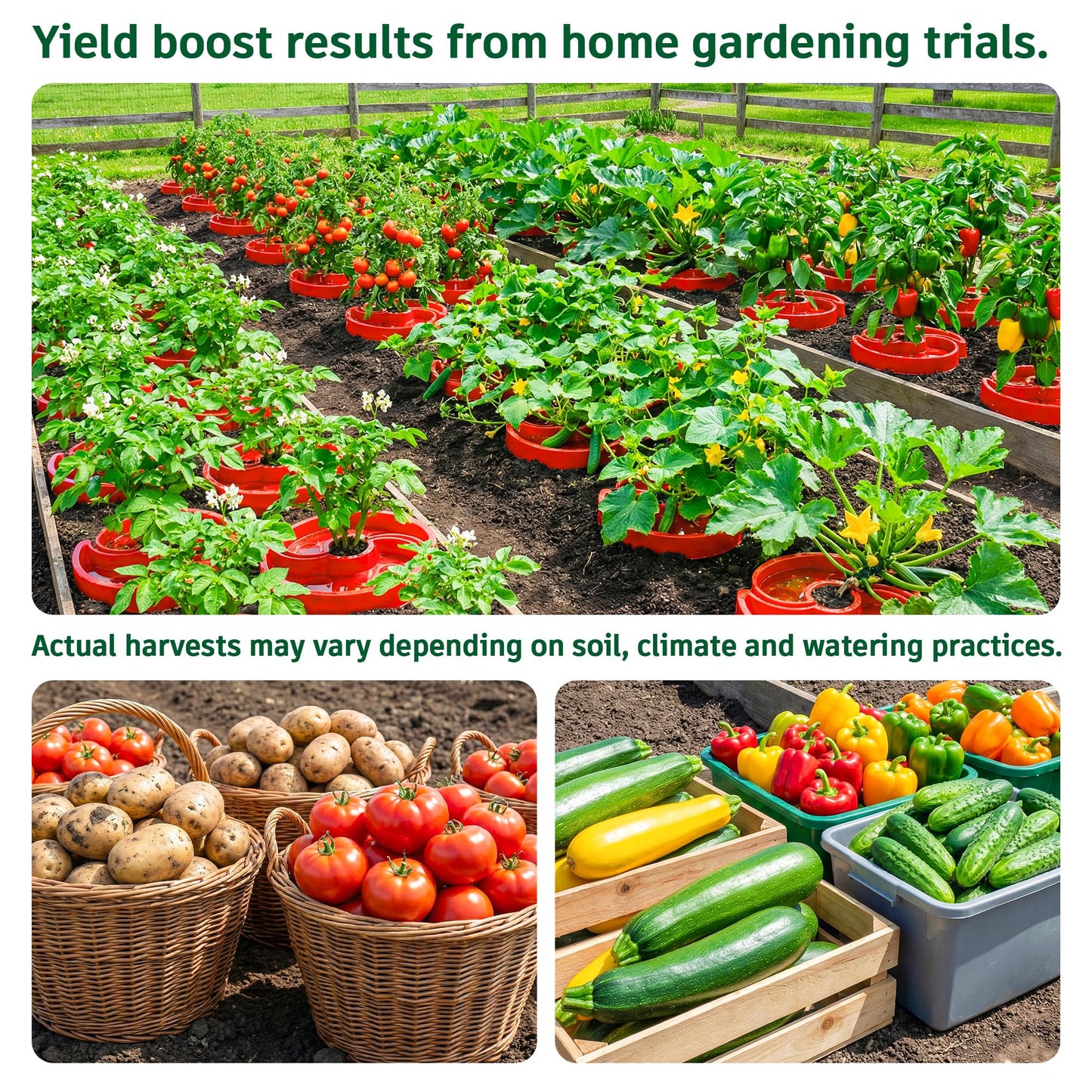 HolyMaji 4 Sets Tomato Watering Ring, Aqua-Direct Red Tomato Halo for Vegetable Direct Root Irrigation, Cuts Runoff, Promotes Vigorous Plant Growth | Rapid-Stake Mount