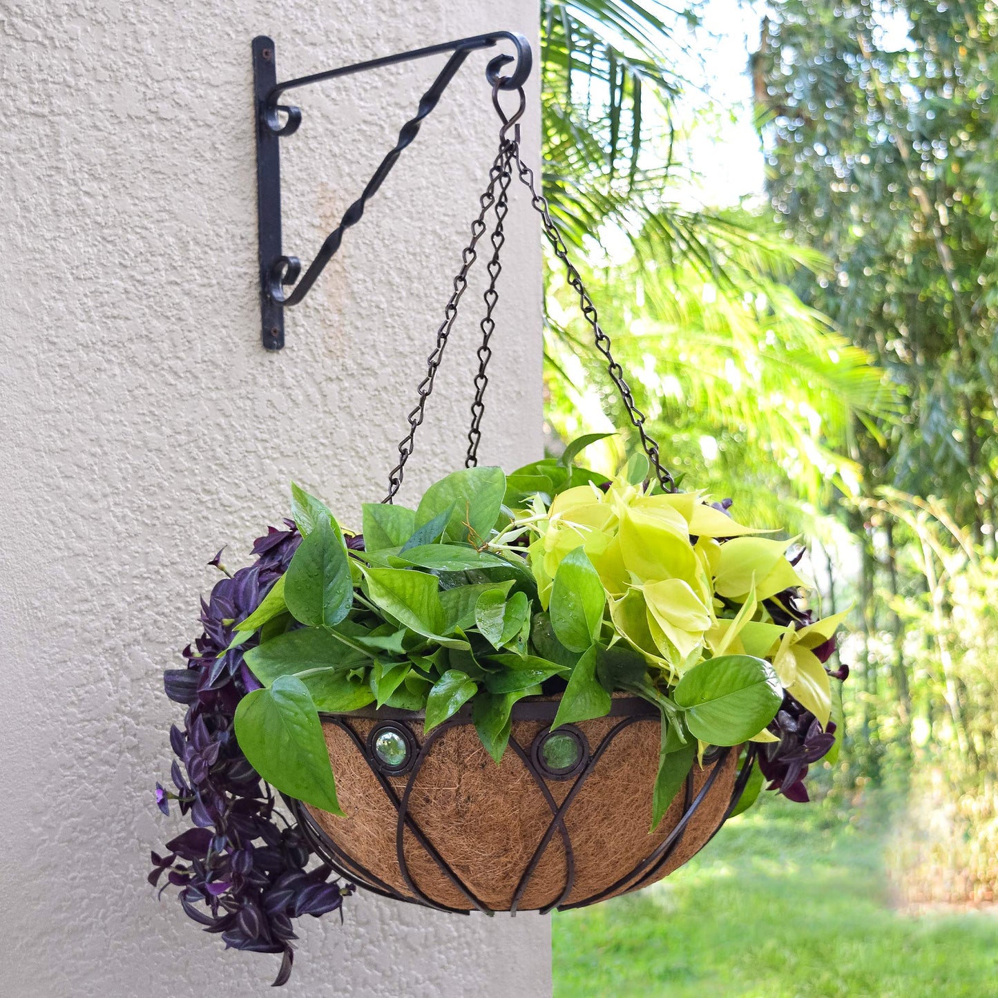 Arcadia CB02 Emerald Series Round Hanging Basket Planters, 16-Inch