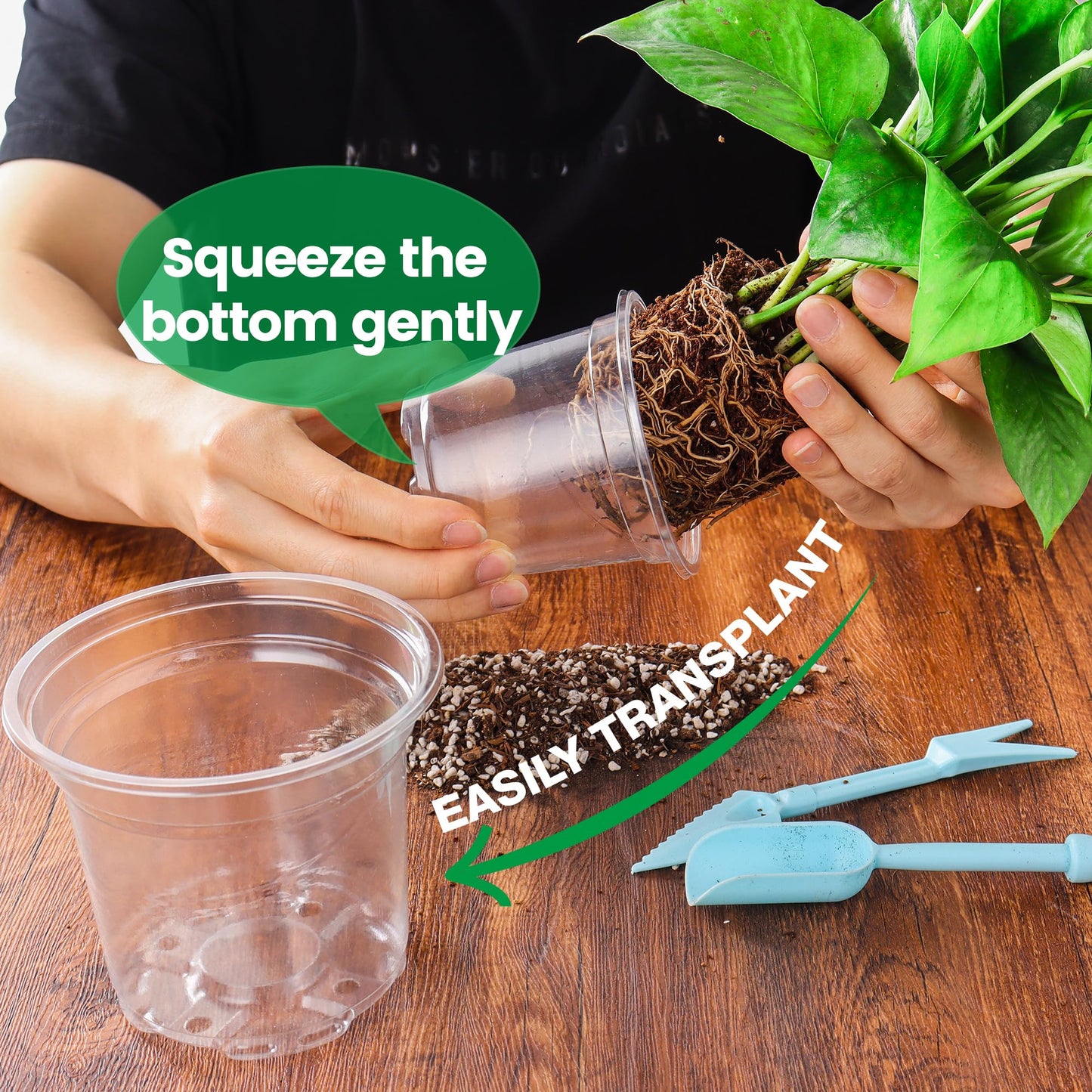 Bluepro 20 Pack 8/6/5/4/3.5 Inch Reinforced Large Clear Nursery Pots with Drainage Hole, Transparent Variety Pack Plastic Plant Pot for Vegetable Propagation, Root Cutting, Seed Starting