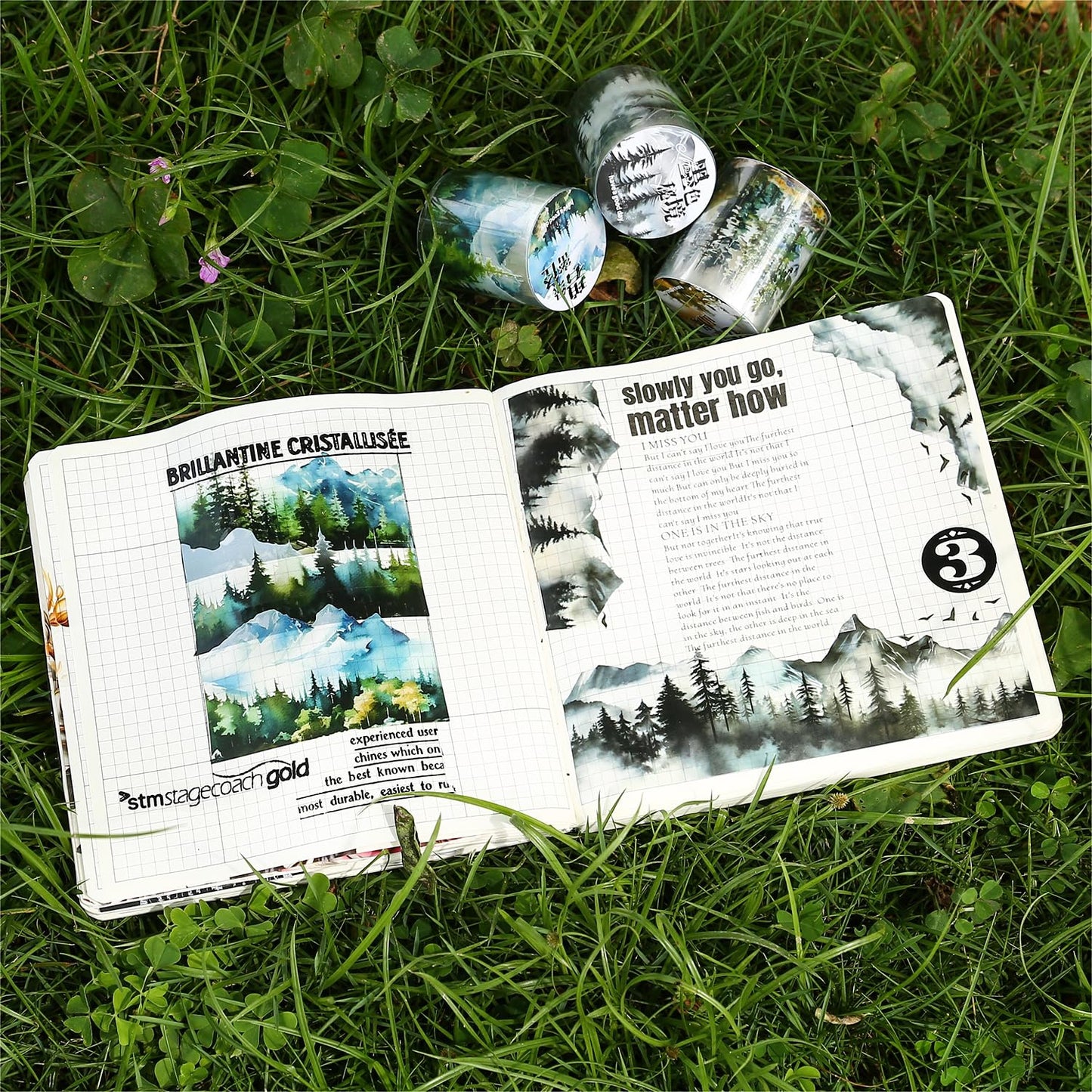 AuriicLeaf Mountain PET Tapes Set, 6 Rolls of Nature Ephemera for Junk Journaling, Scrapbooking, Crafting, DIY Projects, Diaries, and Art Supplies