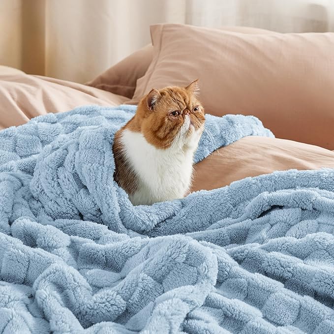 Bedsure Sea Blue Fleece Blanket,60x80 Inches&White Throw Blanket,50x60 Inches