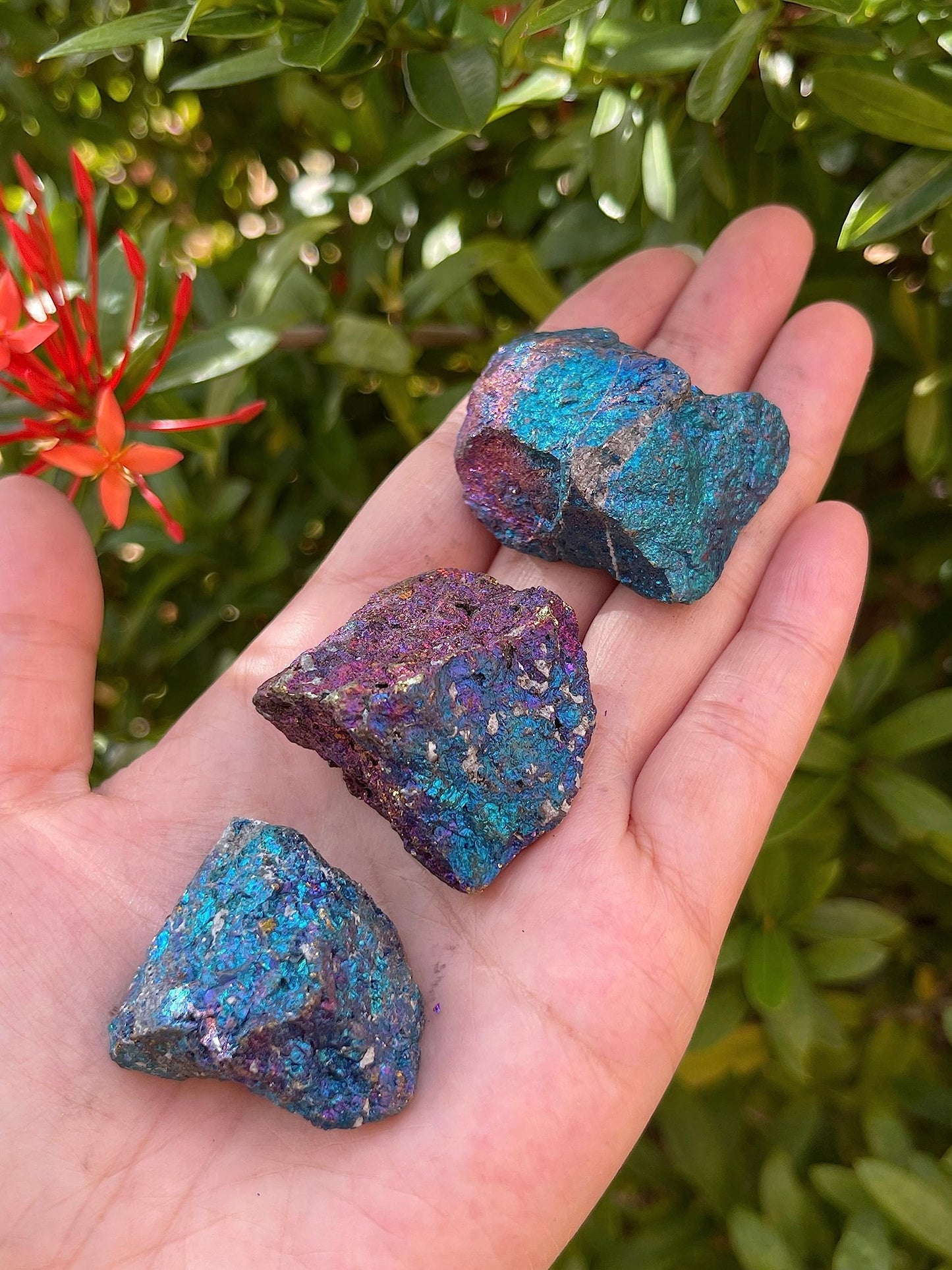 GAF TREASURES Wholesale Raw Chalcopyrite Crystals, Natural Chalcopyrite Stone, Natural Rough Chalcopyrite Crystals, Chalcopyrite Rough, Chalcopyrite Healing Crystals (Chalcopyrite, 0.5 Pound)