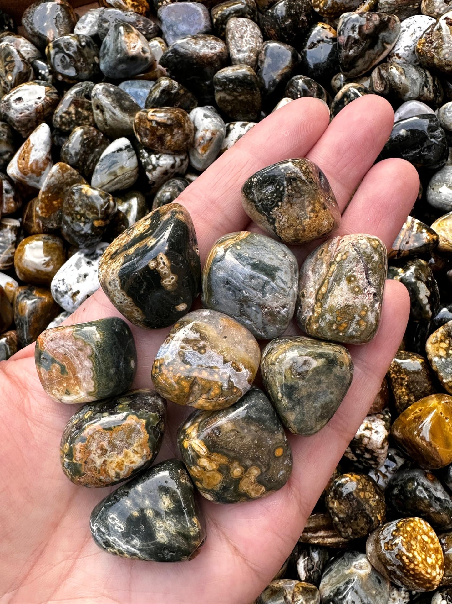 GAF TREASURES 5 Pcs Ocean Jasper Tumbled Stones, Polished Natural Sea Jasper Gemstone, Ocean Jasper Healing Crystals (Ocean Jasper)
