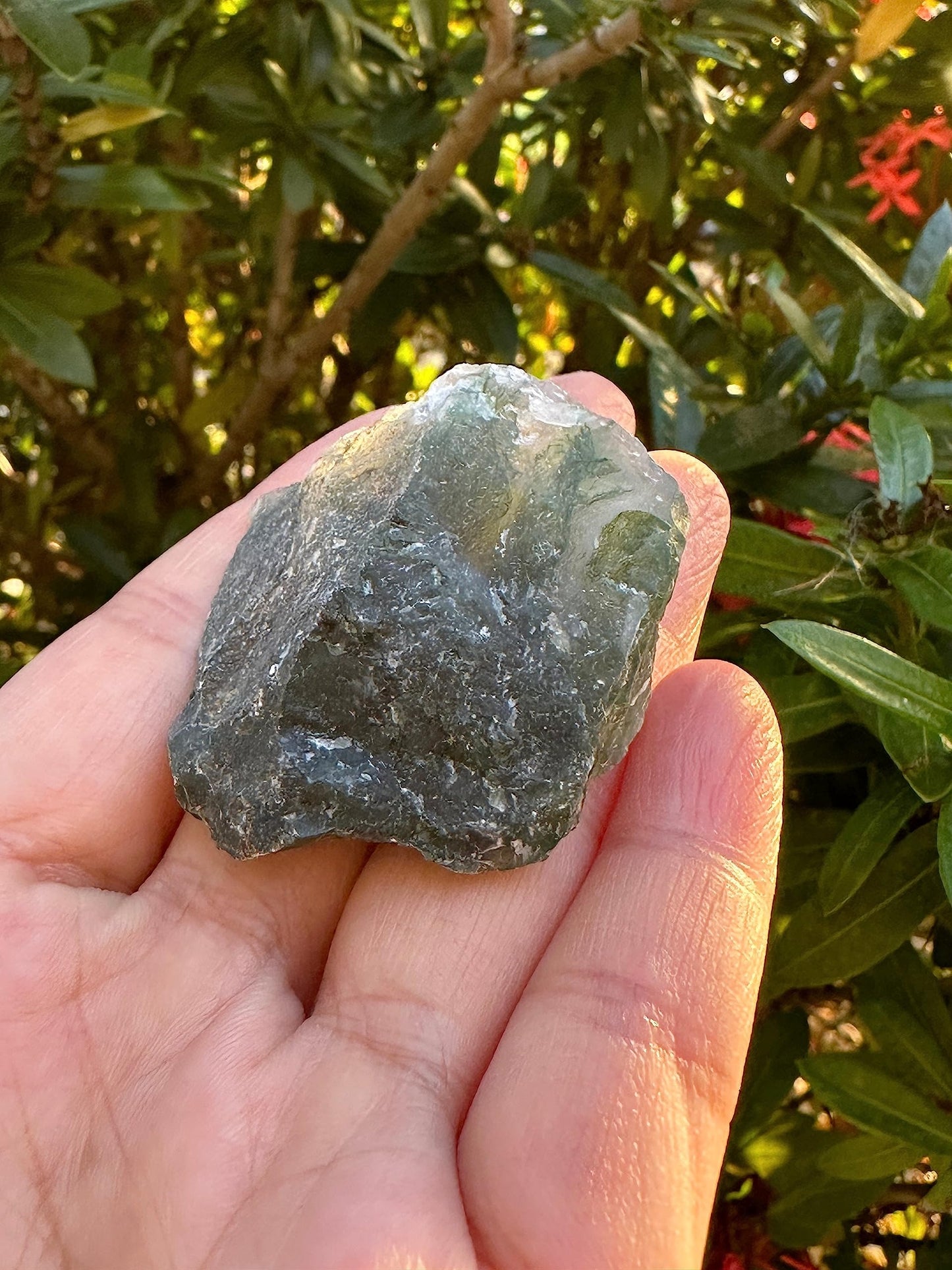 GAF TREASURES Wholesale Raw Tree Agate Crystals, Natural Tree Agate, Natural Rough Tree Agate Crystals, Tree Agate Healing Crystals (Tree Agate, 0.5 Pound)