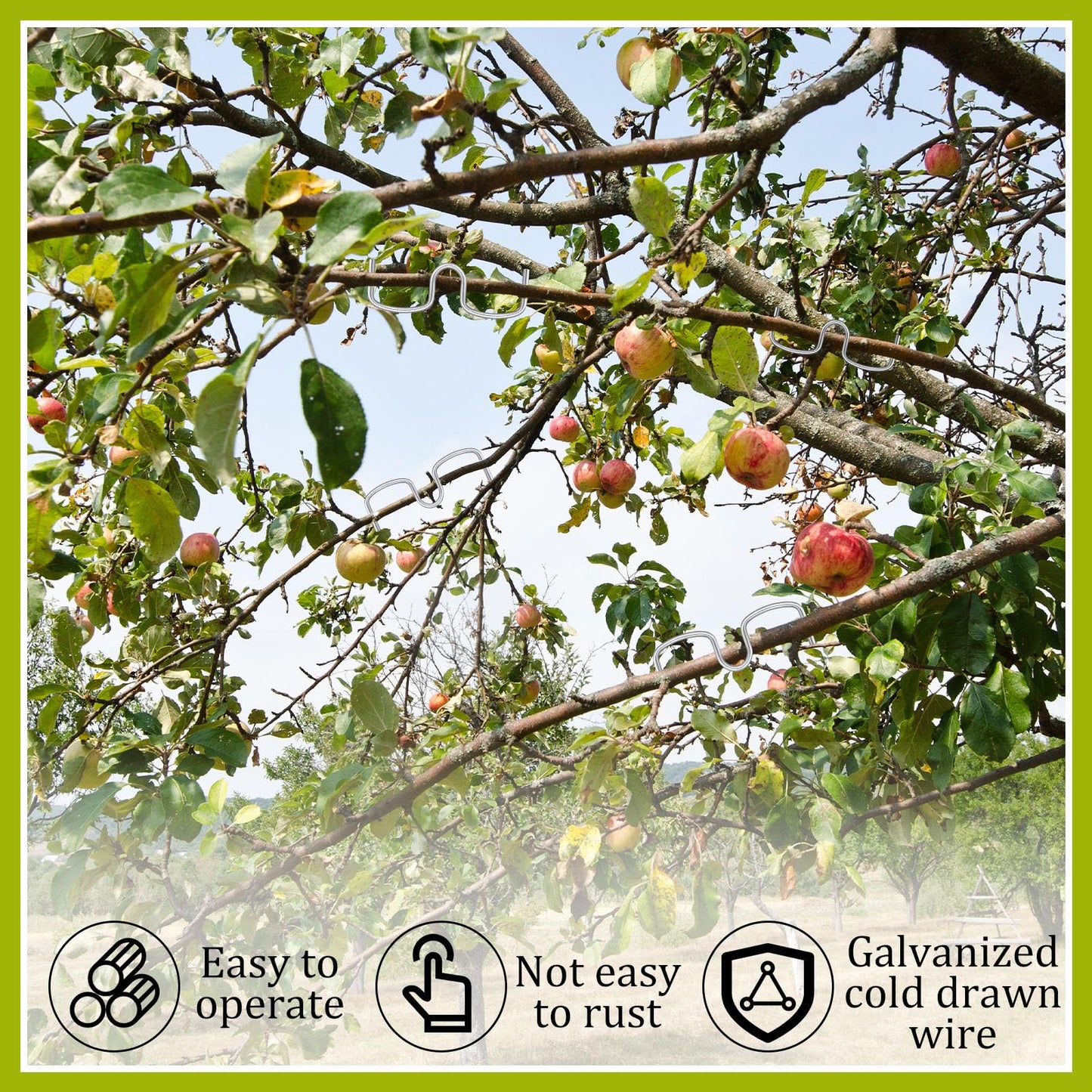 MorningRo 50 Pcs Fruit Tree Limb Spreaders Plant Tying Machine Puller Branch Spreaders Plum Tree Open Angle Pull Branch Stereotyped Tying Bending Farm Tools, M-3.15(Inch), Galvanized