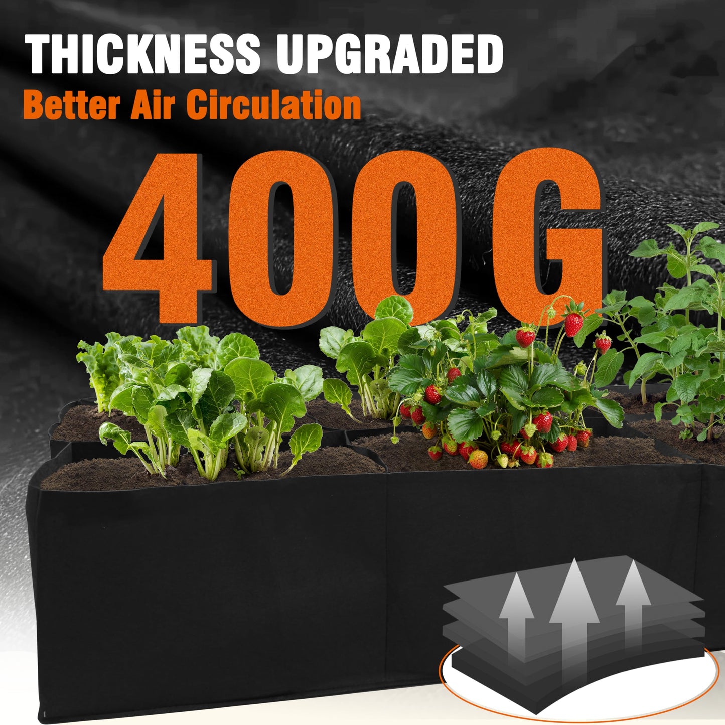 Gardzen 2 Pack Fabric Raised Garden Beds, 2x4x1 FT - 8 Grids Grow Bed for Square Foot Gardening, Planting Box for Vegetables, Herbs, Flowers