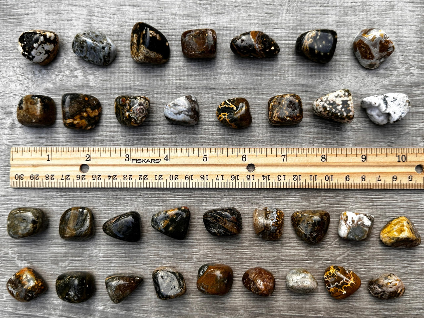 GAF TREASURES 5 Pcs Ocean Jasper Tumbled Stones, Polished Natural Sea Jasper Gemstone, Ocean Jasper Healing Crystals (Ocean Jasper)