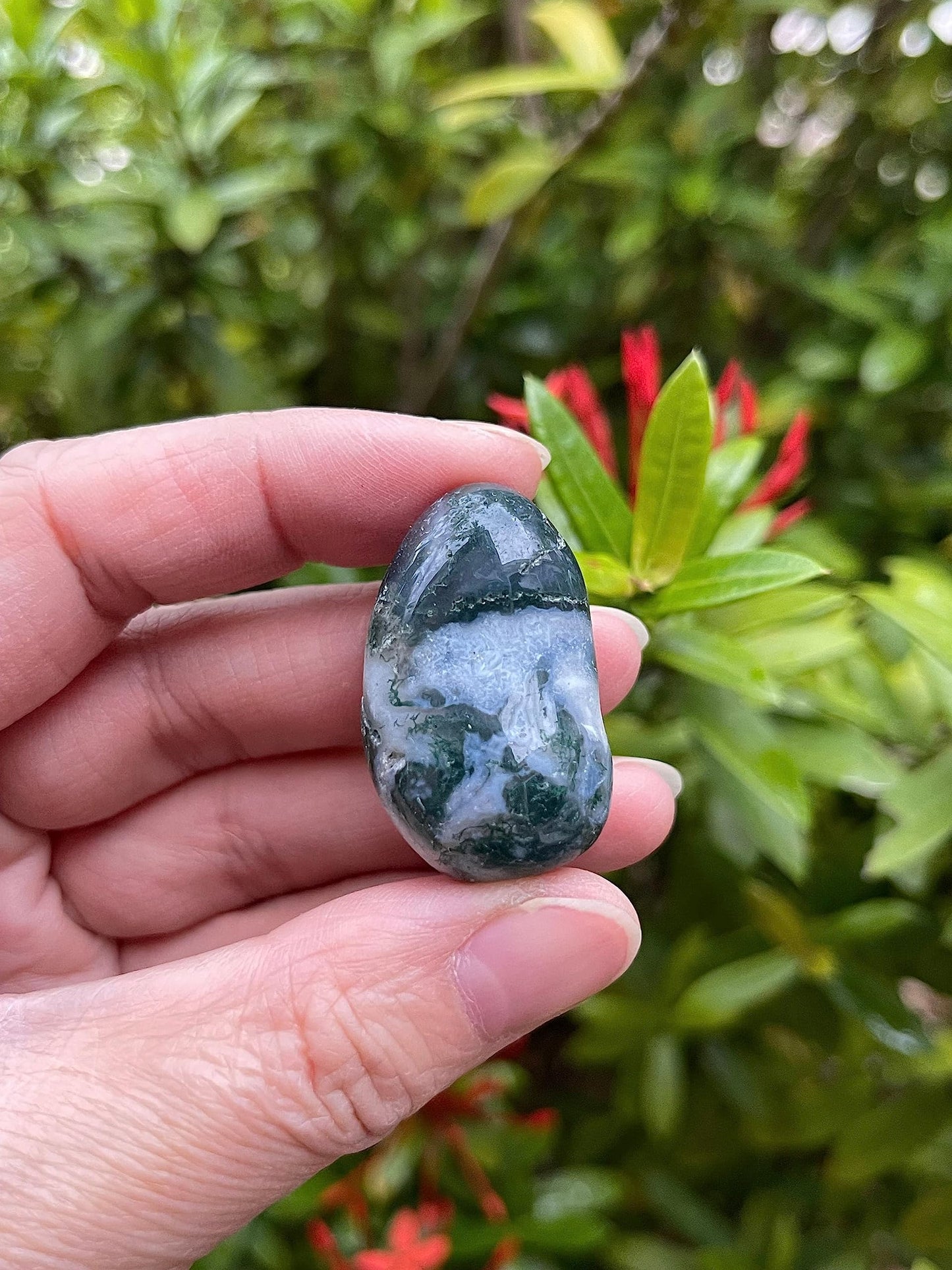 GAF TREASURES 5 Pcs Moss Agate Tumbled Stones, Polished Natural Moss Agate Gemstone, Moss Agate Healing Crystals (Moss Agate)