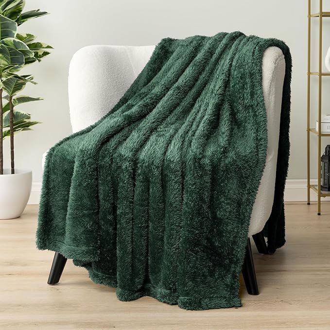 PAVILIA Sherpa Throw Blanket for Couch Sofa, Emerald Green Fluffy Warm Plush Blanket for Twin Bed, Cozy Super Soft Lightweight Throw, Fuzzy Decorative Blanket, All Season Home, 60x80