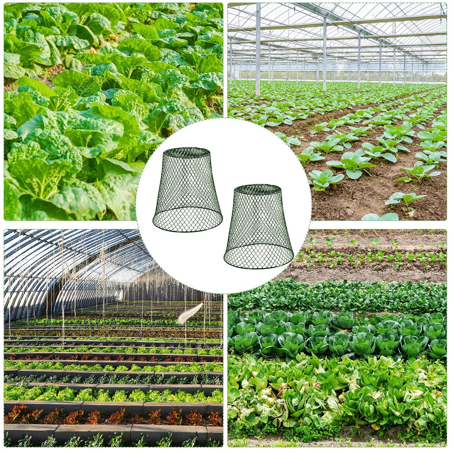 10 Pieces Chicken Wire Plant Covers Wire Garden Cloches Chicken Wire Cloche Plant Protector Metal Heavy Duty Garden Plant Cloche for Keeping Bunnies Chicken Squirrels Birds Other Out(9×9in) (Green)