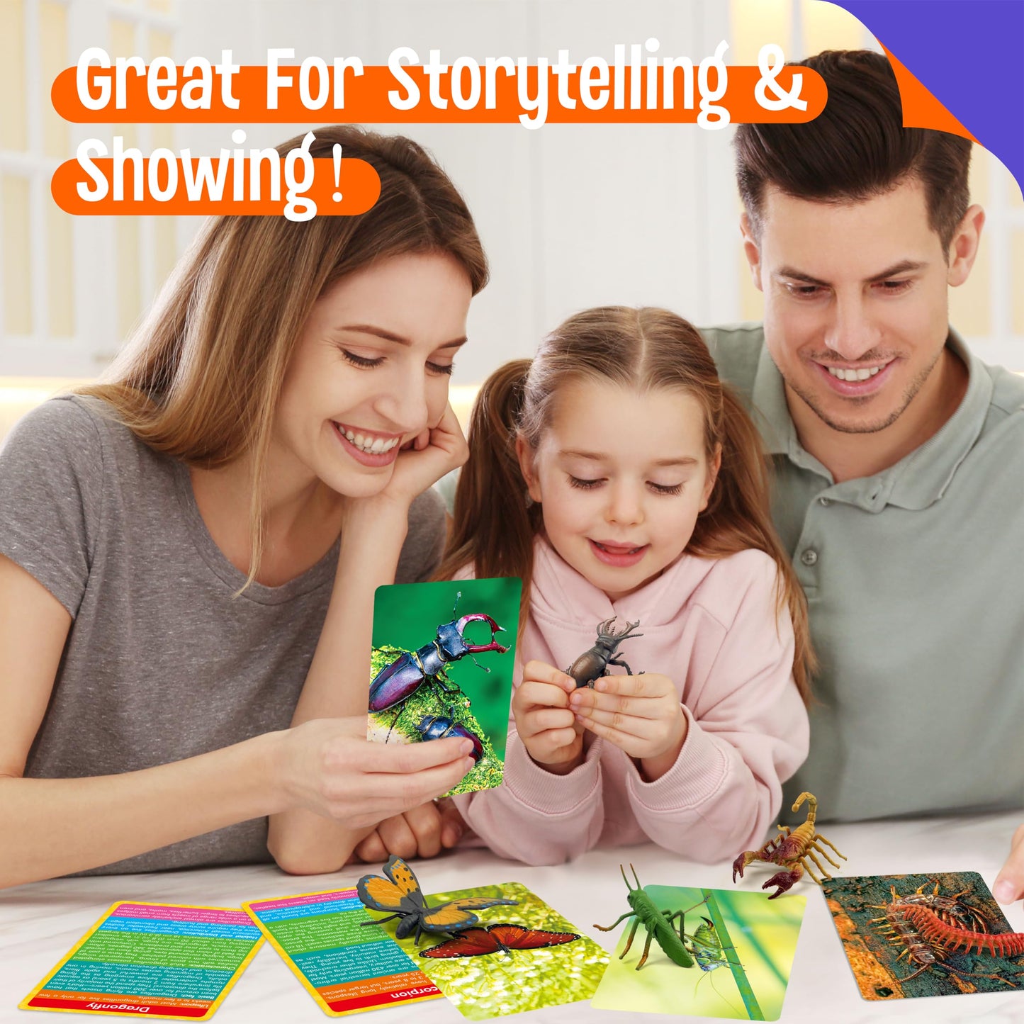 12 PCS Plastic Insect Figurines with 12 Introduction Flashcards, Small Creature Learning Recognition Cards Realistic Bug Models Educational Learning Toy Set for Kids, Classroom