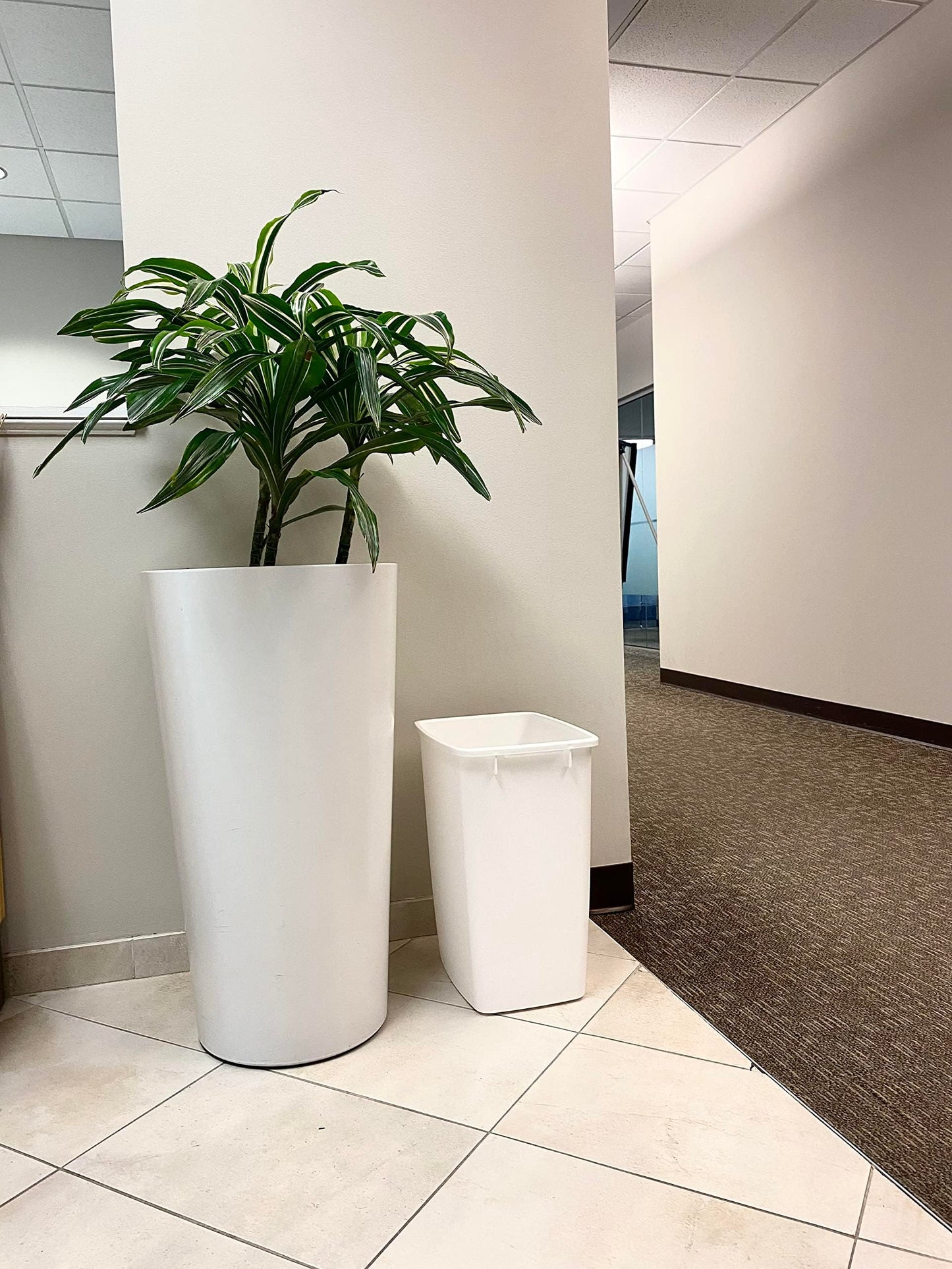 Rubbermaid Small Kitchen Bathroom Trash Can, 9 Gallons, White, Waste Basket for Under Counter/Kitchen/Office/Bedroom/Bathroom