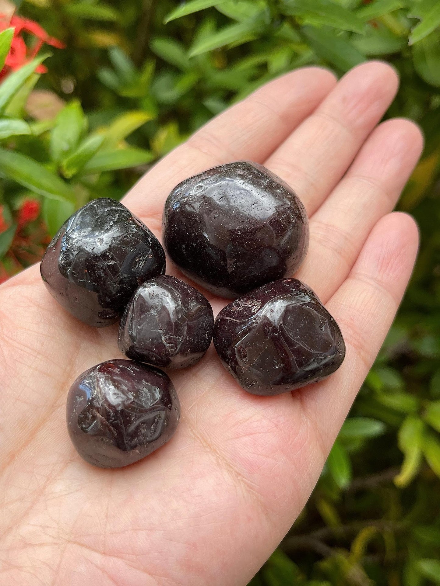 GAF TREASURES 5 Pcs Garnet Tumbled Stones, Polished Garnet Gemstone, Garnet Healing Crystals (Garnet)