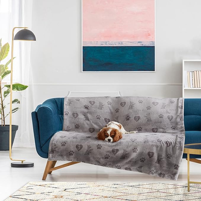 Juicy Couture Dark Grey/Light Grey 50" x 60" Cat, Dog, Plush Puppy Blanket Throw, Printed, Breathable, Lightweight, Machine Washable, for Small Medium & Large Pets