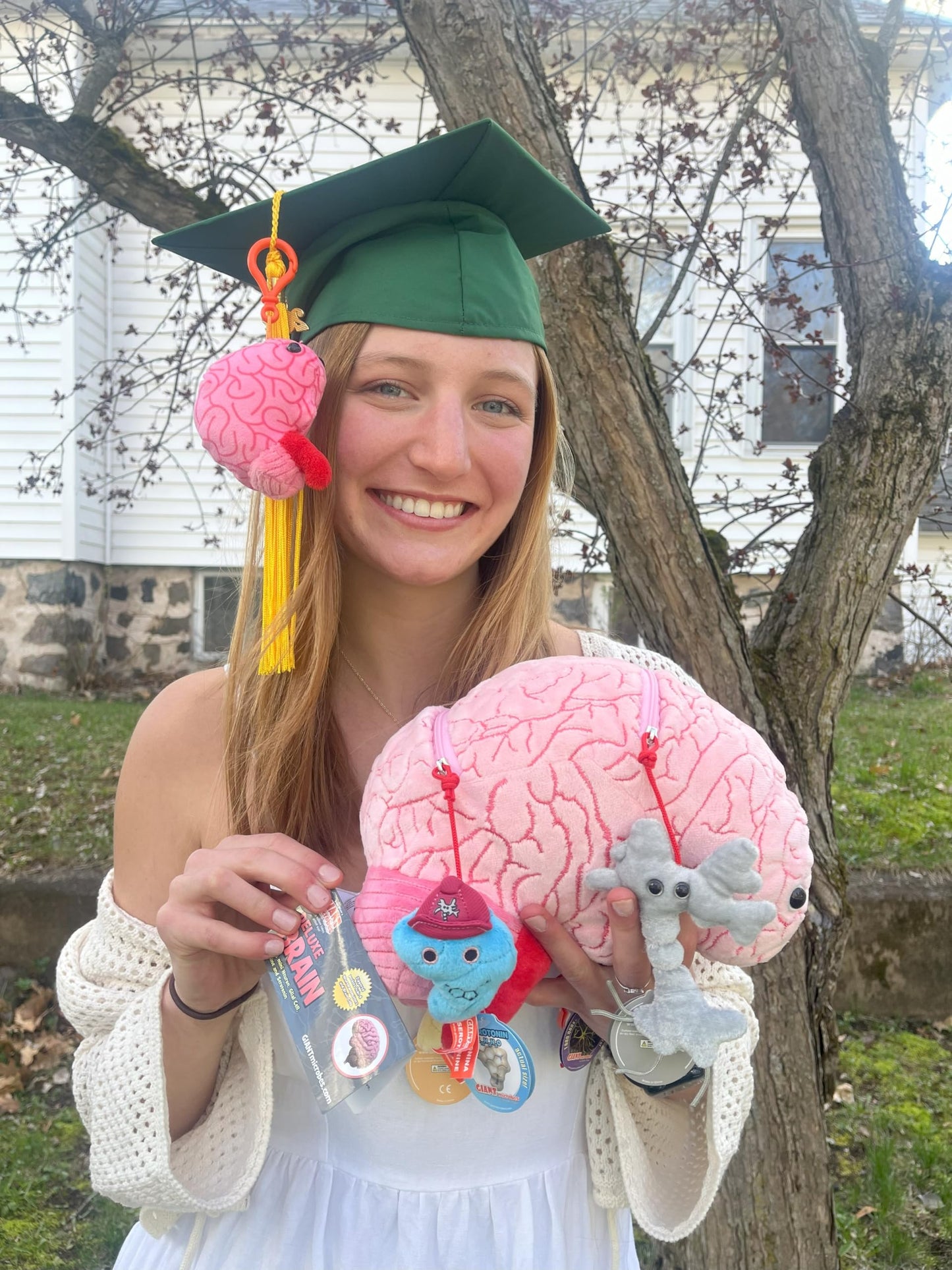 GIANTmicrobes Deluxe 9.5" Brain with Neuron Plush, Brain Model Anatomy, Psychology Gifts for Students, Medical Student Gift, Therapist Office Decor, Anatomy Models, Neuroscience Gifts, Neurology Gift