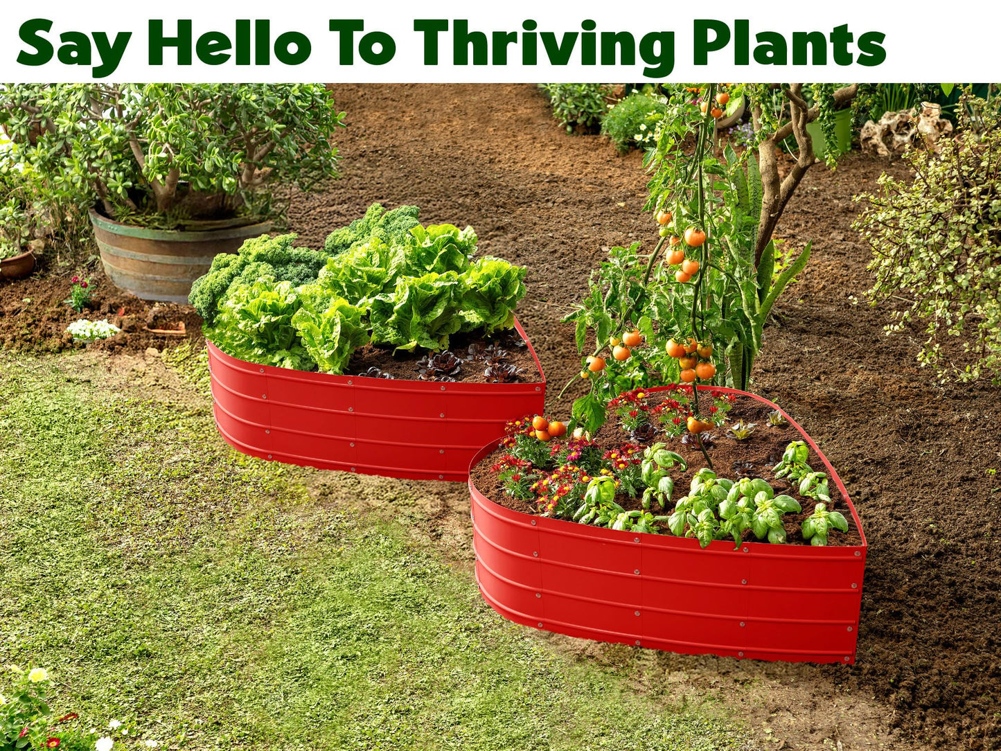 Plant & Plot Galvanized Raised Garden Beds Outdoor // Planter Raised Beds for Gardening, Vegetables, Flowers // Large Metal Garden Box (Red) // Tool-Free Assembly
