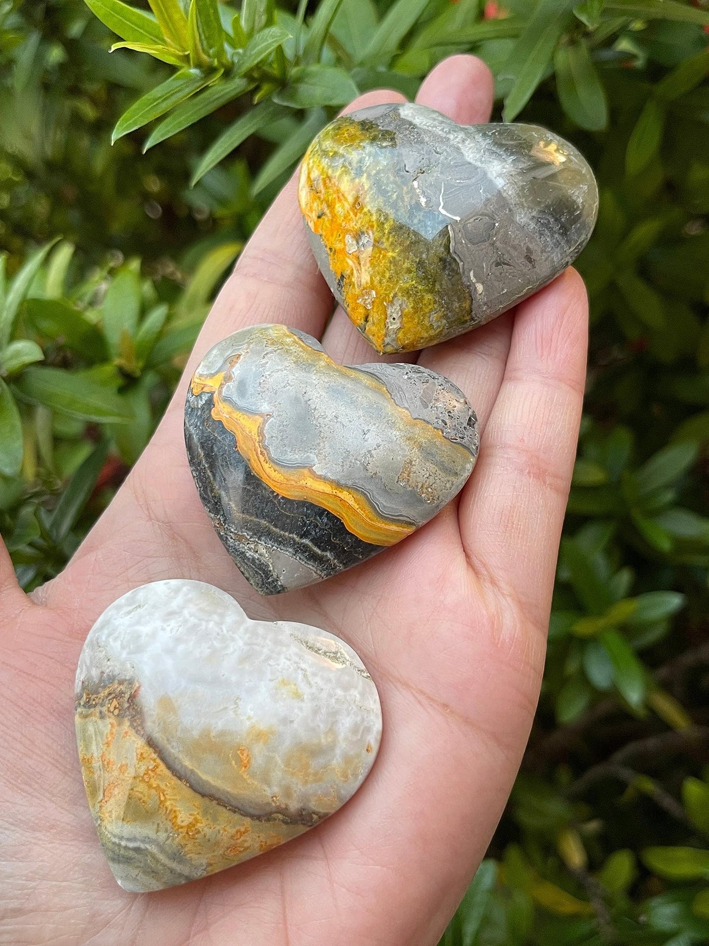 GAF TREASURES Bumble Bee Jasper Gemstone Hearts, Polished Bumble Bee Jasper Puffy Hearts, Bumble Bee Jasper Crystal Palm Stone, Bumble Bee Jasper Healing Crystal Hearts (1 Heart)