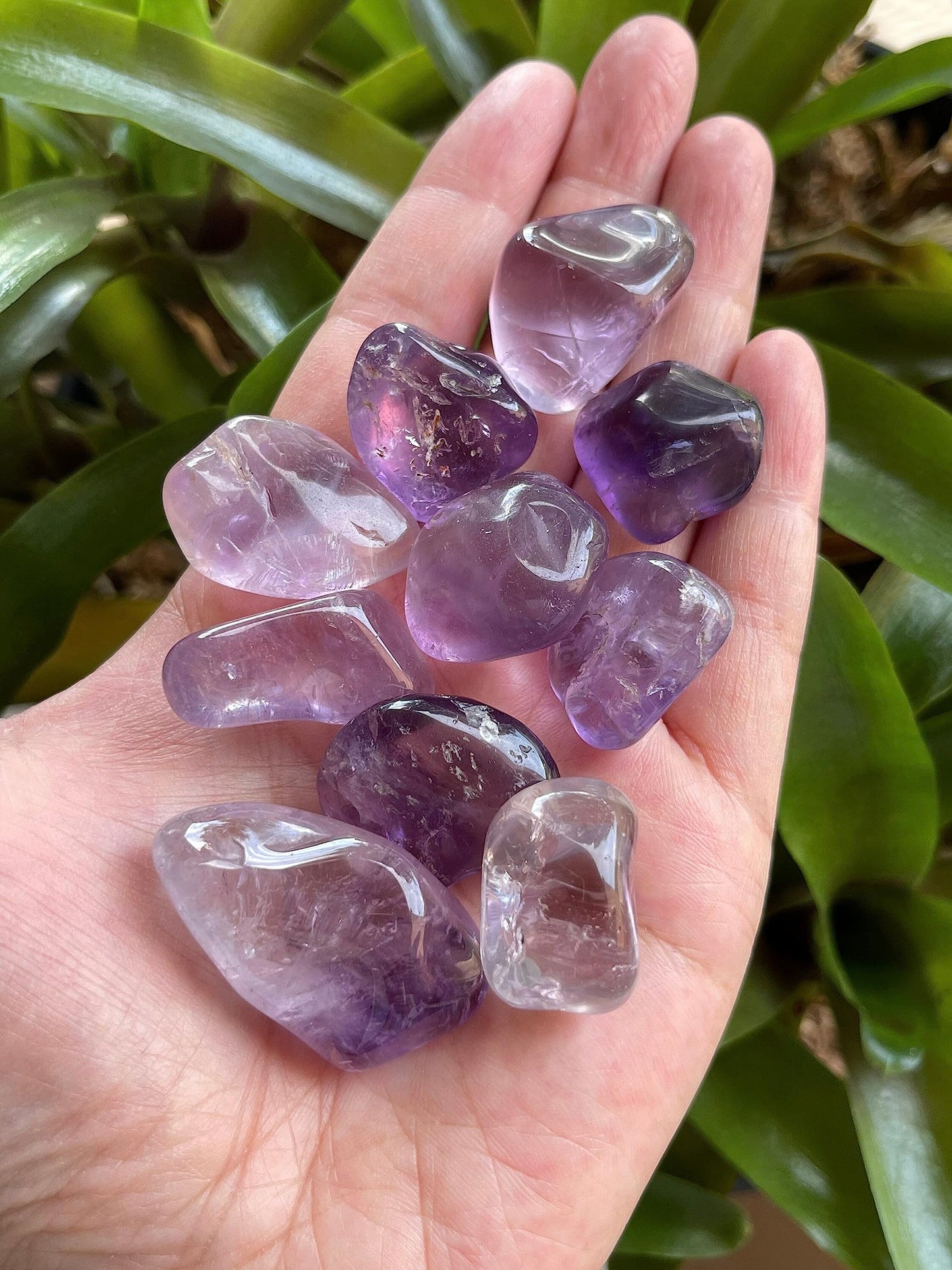 GAF TREASURES 5 Pcs Amethyst Tumbled Stones, Polished Natural Amethyst Gemstone, Amethyst Healing Crystals (Amethyst)