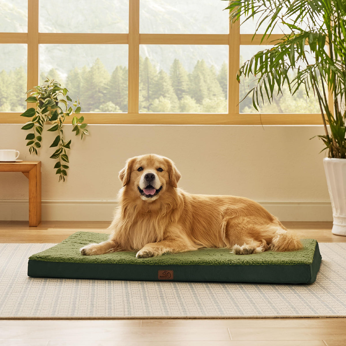 Bedsure Small Dog Bed, Cat Puppy Bed with Comfy Sherpa, 24"x16" Dark Grey