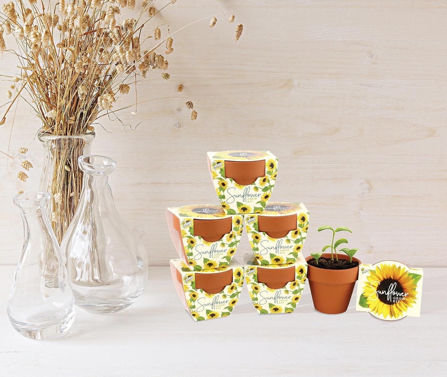 BUZZY Seeds Sunflower Daydream Collection 6-Pack Mini Terracotta Grow Pots, Includes Seed Packets and Growing Medium, Flower Starter Kit, Indoor Gardening Gift, Wedding Favors