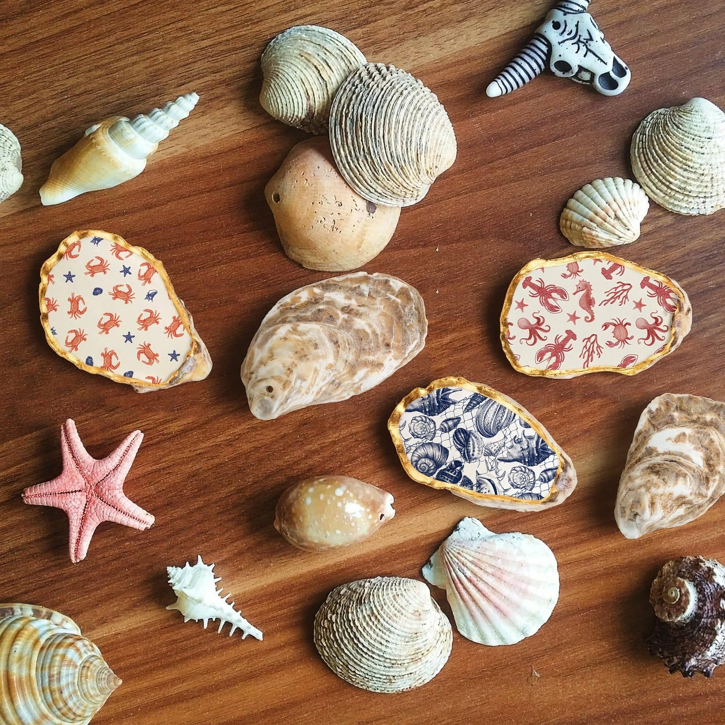 ForraFun 16 Set Beach Oyster Shells for Crafts 4-5 Inch Large Seashells with Holes for Crafting Summer Flat Oyster Shell Kits with Decoupage Napkins Glue Paints Twine Brushs