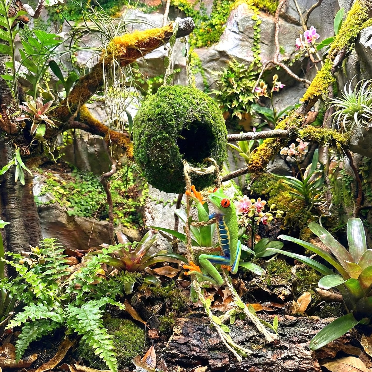 Moss Cave Hideout with Hanging Rope & Hemp Climbing Ladder – Natural Reptile Tank Decor Accessories for Crested Geckos, Chameleons, Tree Frogs, Leopard Geckos & Snakes. Terrarium & Vivarium Decor (4")