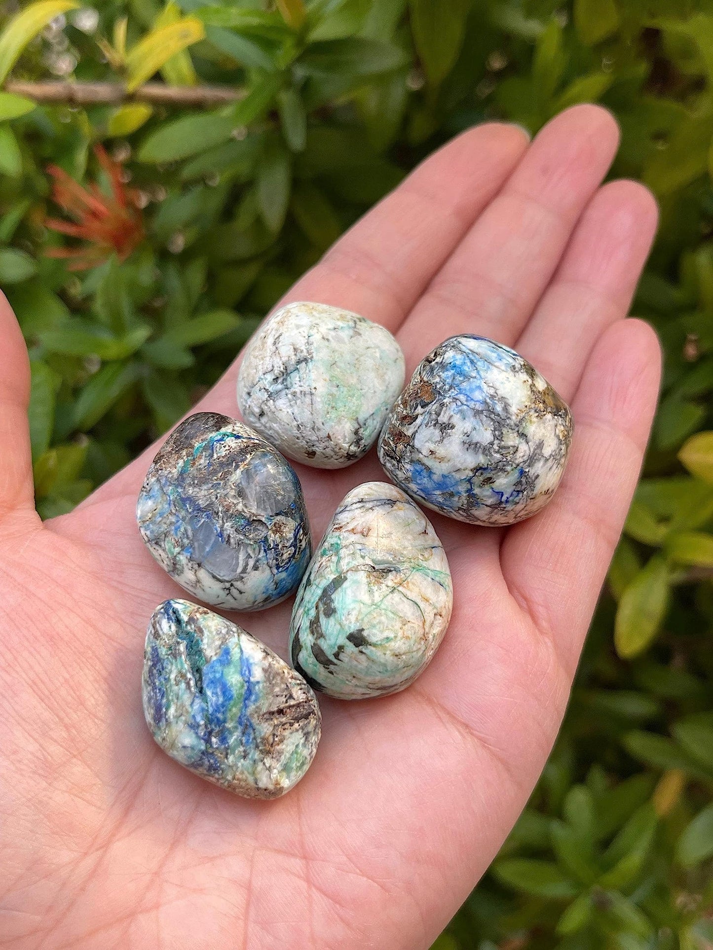 GAF TREASURES 5 Pcs Azurite Malachite Tumbled Stones, Polished Natural Azurite Malachite Gemstone, Azurite Malachite Healing Crystals (Azurite Malachite)