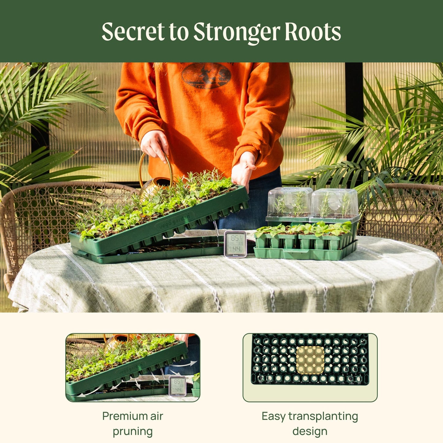 Vego garden 2 Set 76 Cells Seed Starter 10" x 20" Tray Stackable Seedling Starting Germination Trays for Plants Planting Vegetables Herbs Flowers,