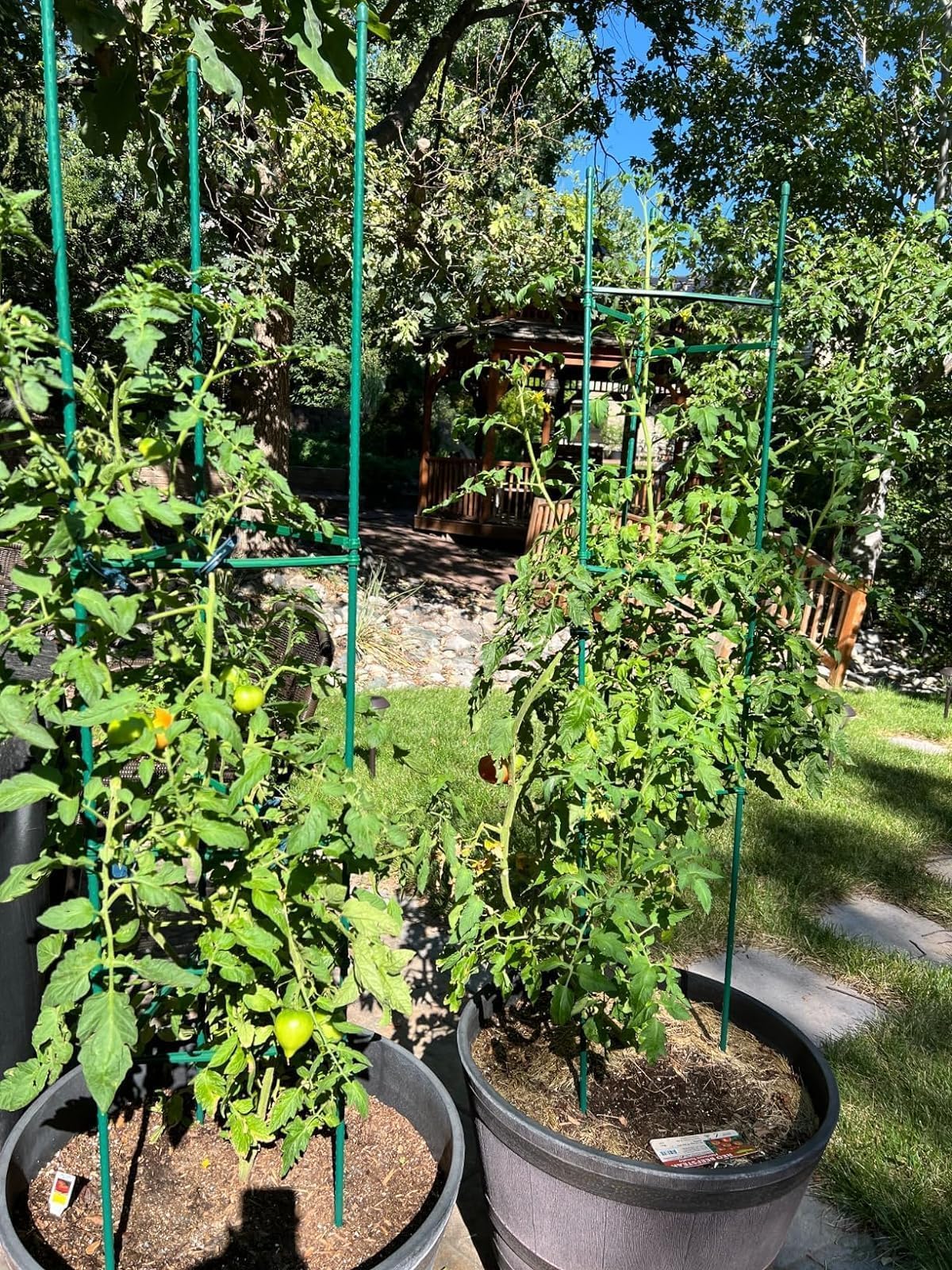 G-LEAF 6 Pack 6ft Tomato Cage for Garden Plant Support, Garden Stakes Tomato Cage, Tomato Cages Plant Stakes for Climbing Plants