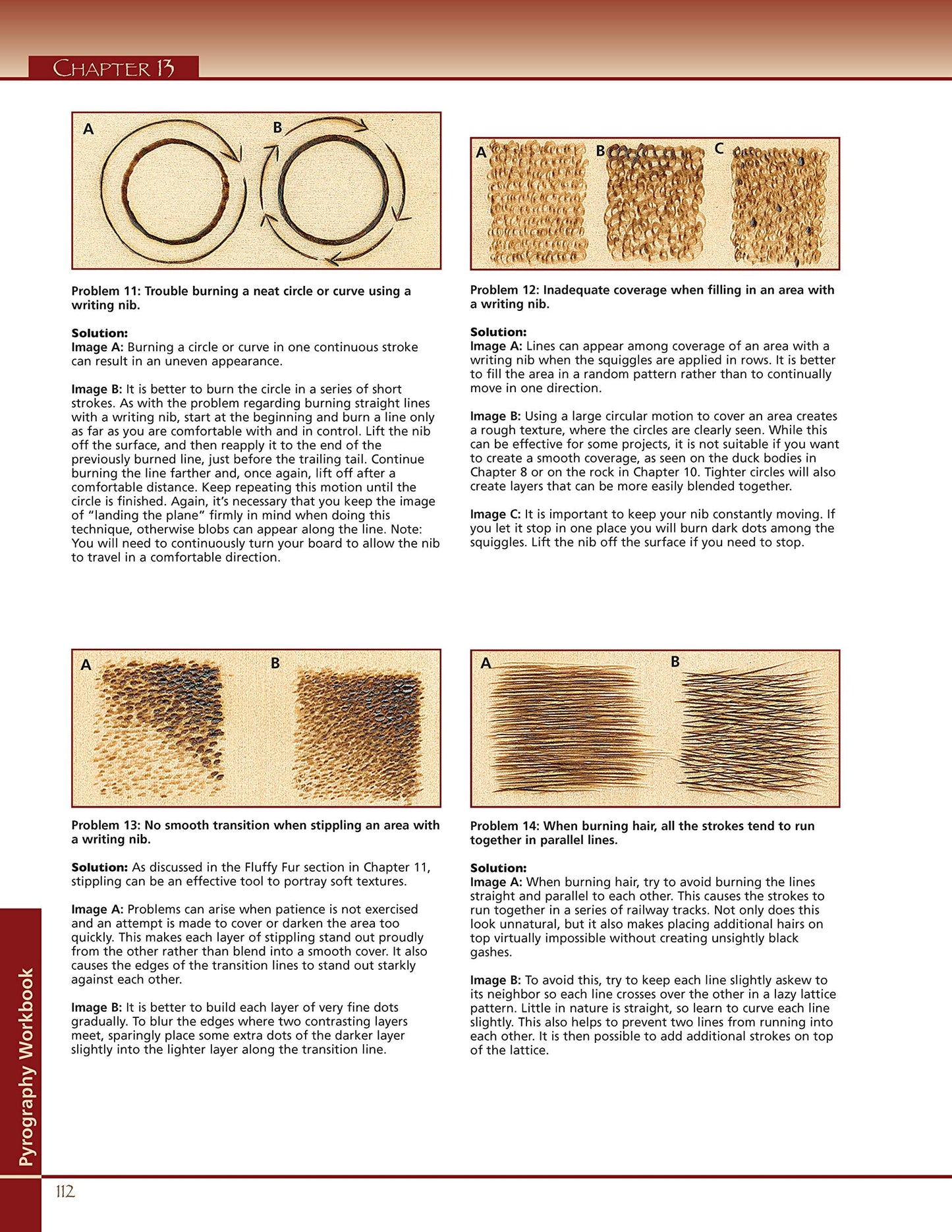 Pyrography Workbook: A Complete Guide to the Art of Woodburning (Fox Chapel Publishing) Step-by-Step Projects and Patterns with Texture, Shading, and Color Techniques for Woodburners