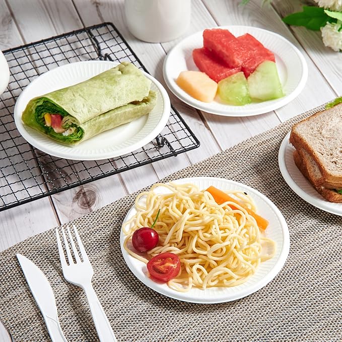 Vplus 100% Compostable Small Paper Plates, 300 Pack 6 Inch Disposable Paper Plates, Uncoated Biodegradable, Made of Sugar Cane Fibers, Perfect for Sandwich, Cake, and Snack