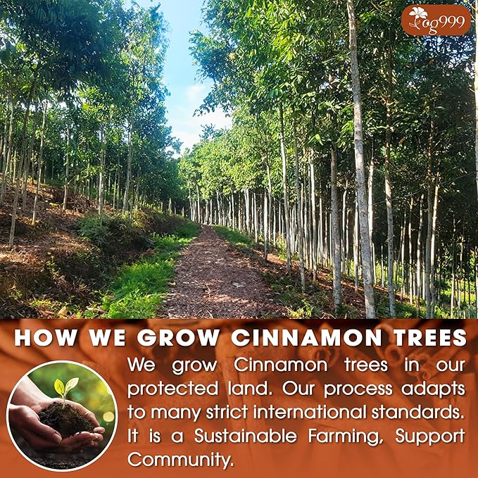TOG999, Premium 40 Tea Bags - Special Cinnamon Tea, 100% Natural & Pure, Herbal Tea. Cinnamon Stick Herbal Spice