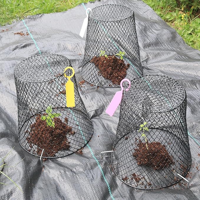 20 Pack 9.2x9.2 Inch Chicken Wire Cloche Plant Protectors from Animals