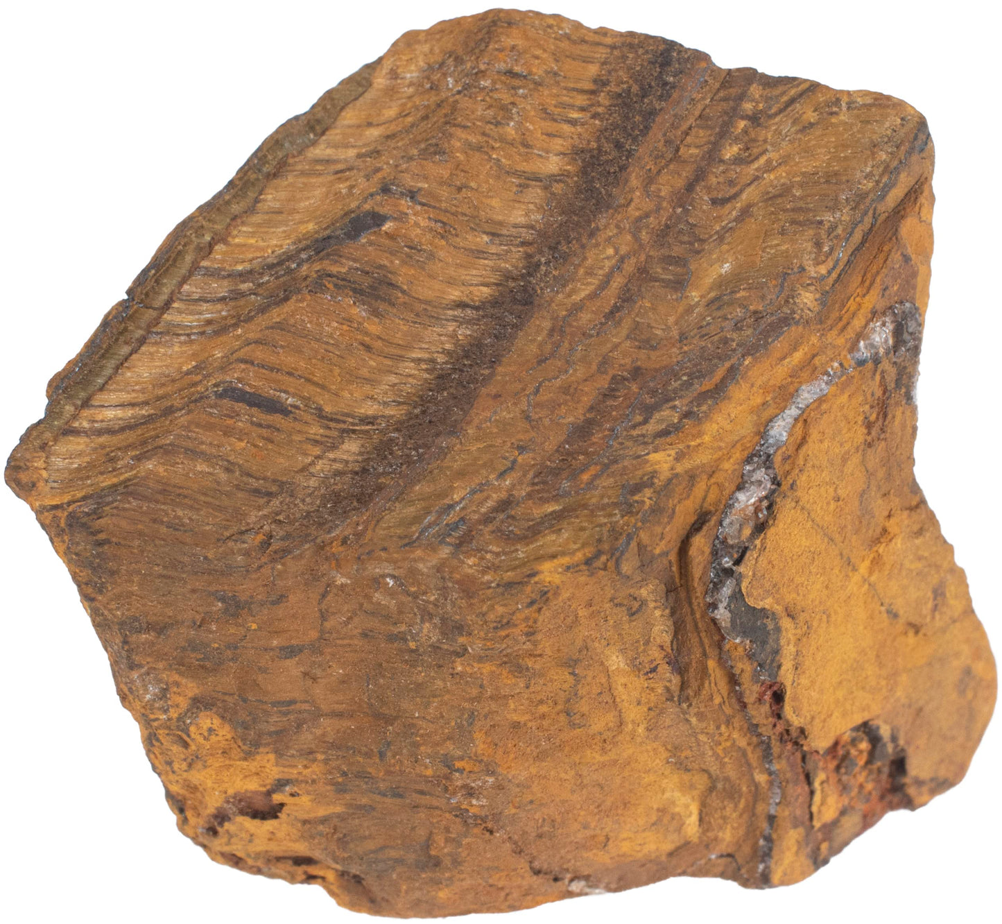 "300+ Carats, 1 Pc Tiger Eye Rock Rough Stone 4050 mm Raw Crystals Rock Crystals and Healing Stones Rough Gemstones Rock Collection for Beginners Used as Crystal Therapy, Meditation, Reiki"