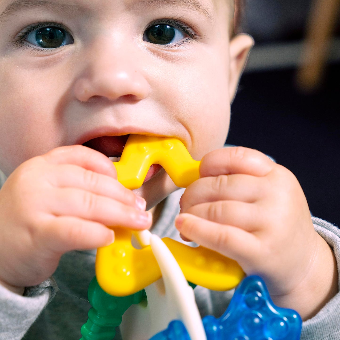 Baby Einstein Ocean Explorers Sea of Sensory Teether Toy BPA Free, Ages 3 Months and up (Pack of 2)