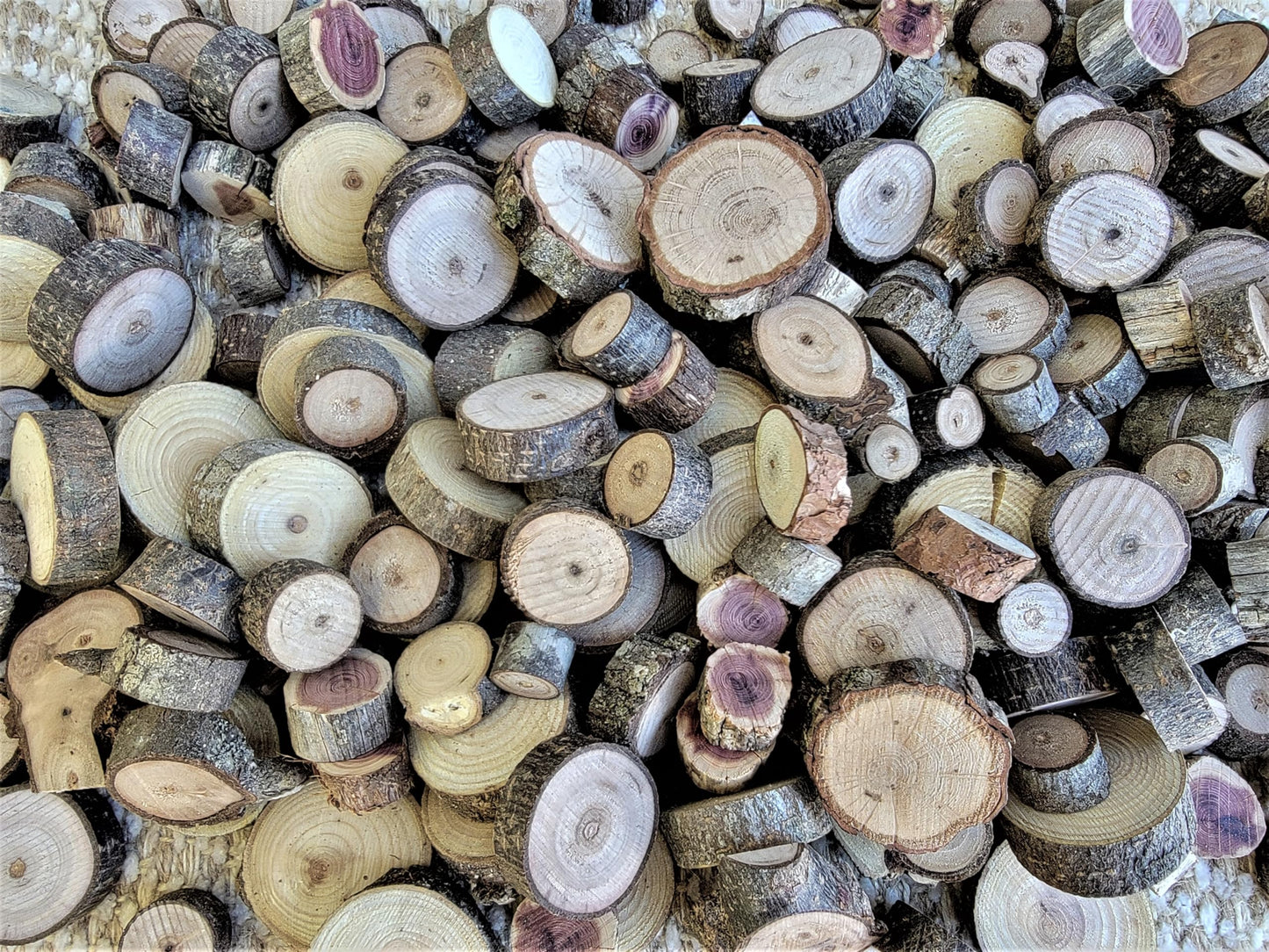 Unfinished Wood Slice Variety Pack, Extra Small Assorted Wood Slices 0.75 to 1.25 Inch Diameter, Natural Organic Vase Filler, Wedding or Home Decor, DIY Craft Projects
