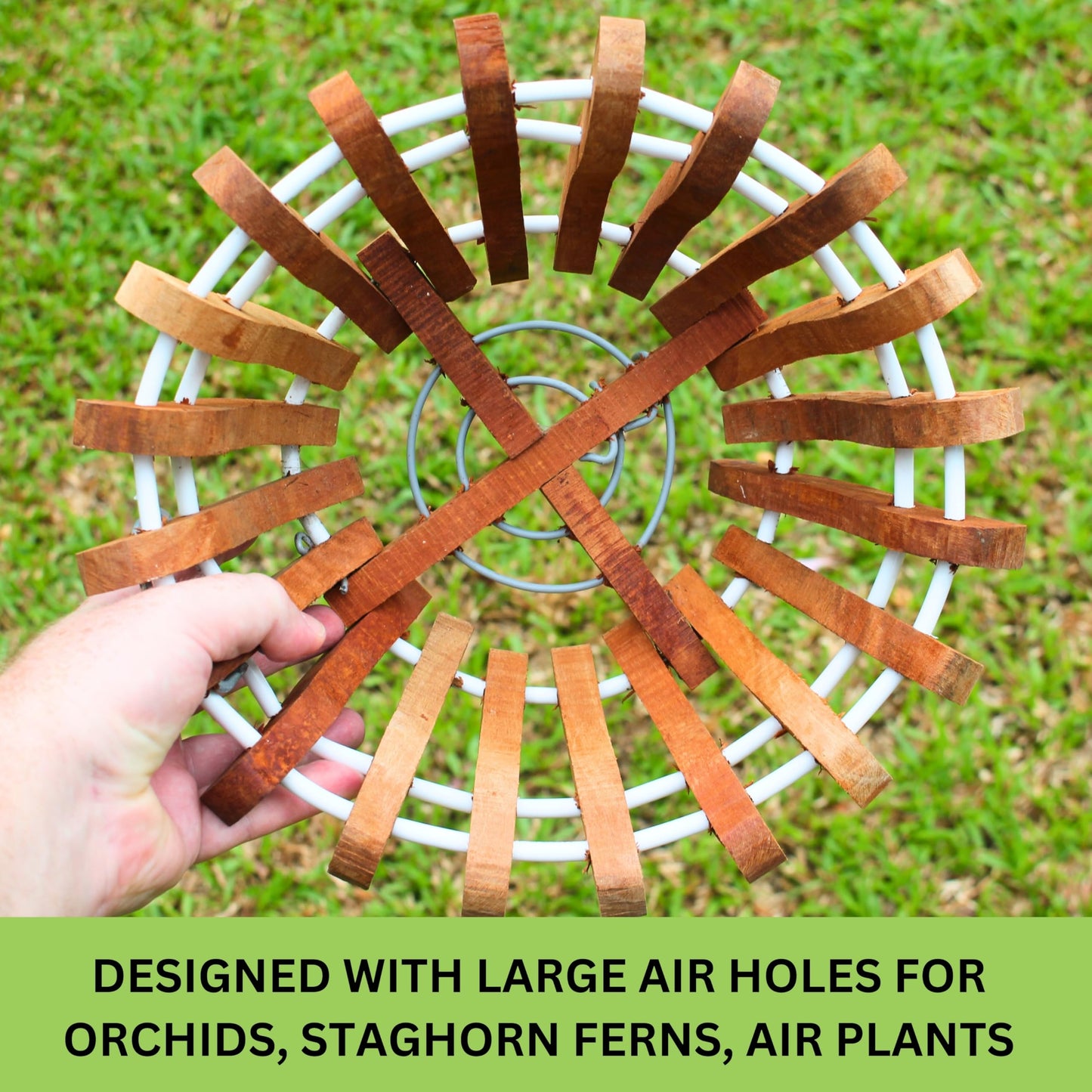 DESQUIGGLE 2 Rustic Specialist Orchid Baskets with Hangers for Outdoors, Lotus Flower Shape, 1 is 10 Inches Wide, 1 is 8 Inches, Orchid Tree Hanger
