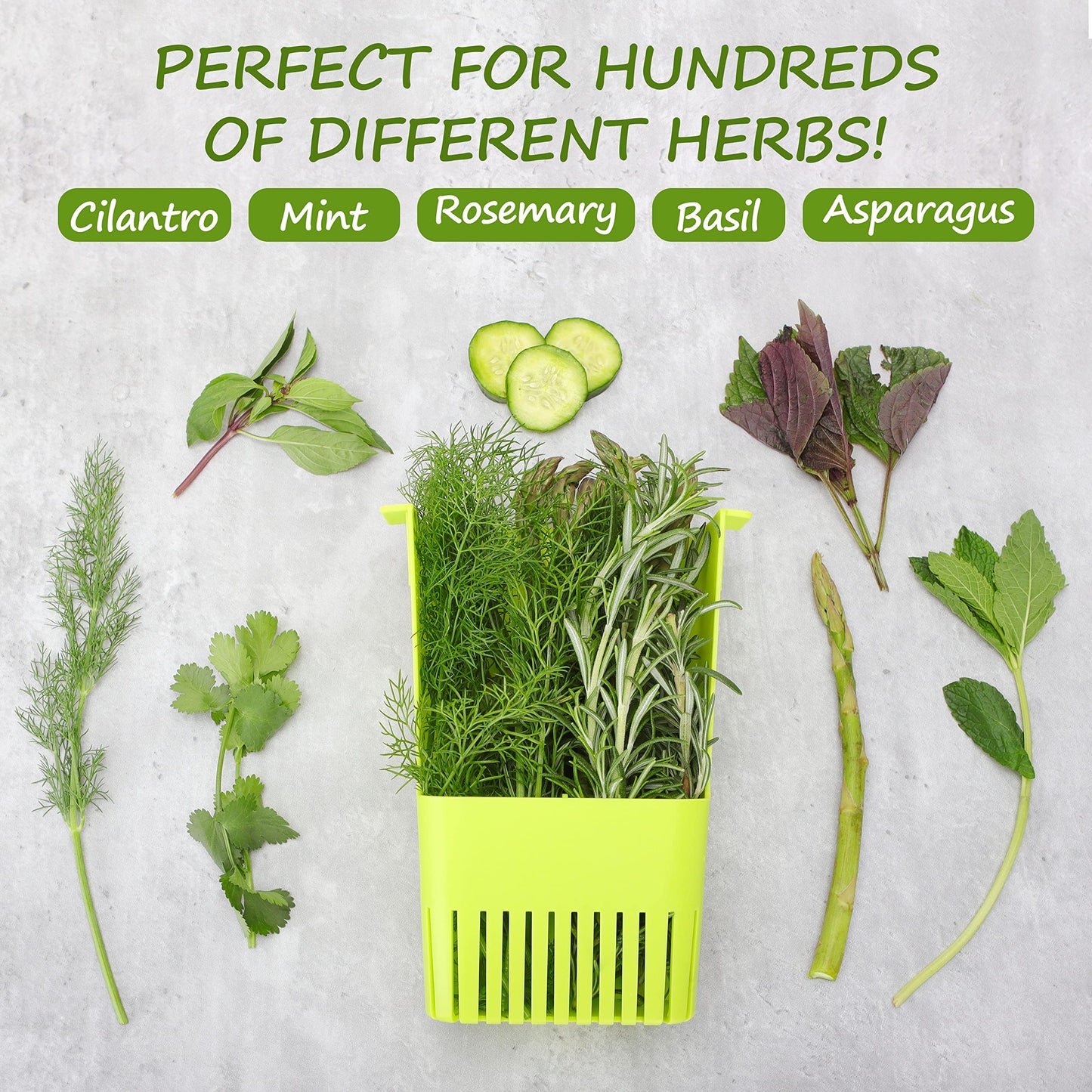 LAWNFUL 2 Pack Fresh Herb Keeper for Refrigerator, Clear BPA-Free Herb Saver, Storage Container for Cilantro, Parsley, Thyme, Mint & Asparagus, Preserver Keeps Fresh Herbs for 3 Times Longer