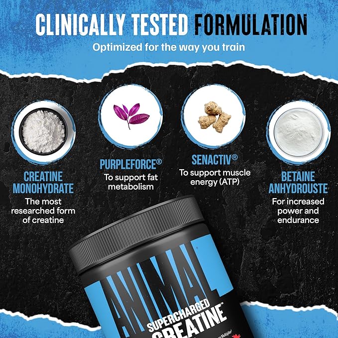 Animal Supercharged Creatine Powder - Flavored Creatine Monohydrate Enhanced with Betaine Anhydrous, PurpleForce & Senactiv, Strength, Endurance, Muscle Recovery for Men and Women – Fruit Punch, 300g