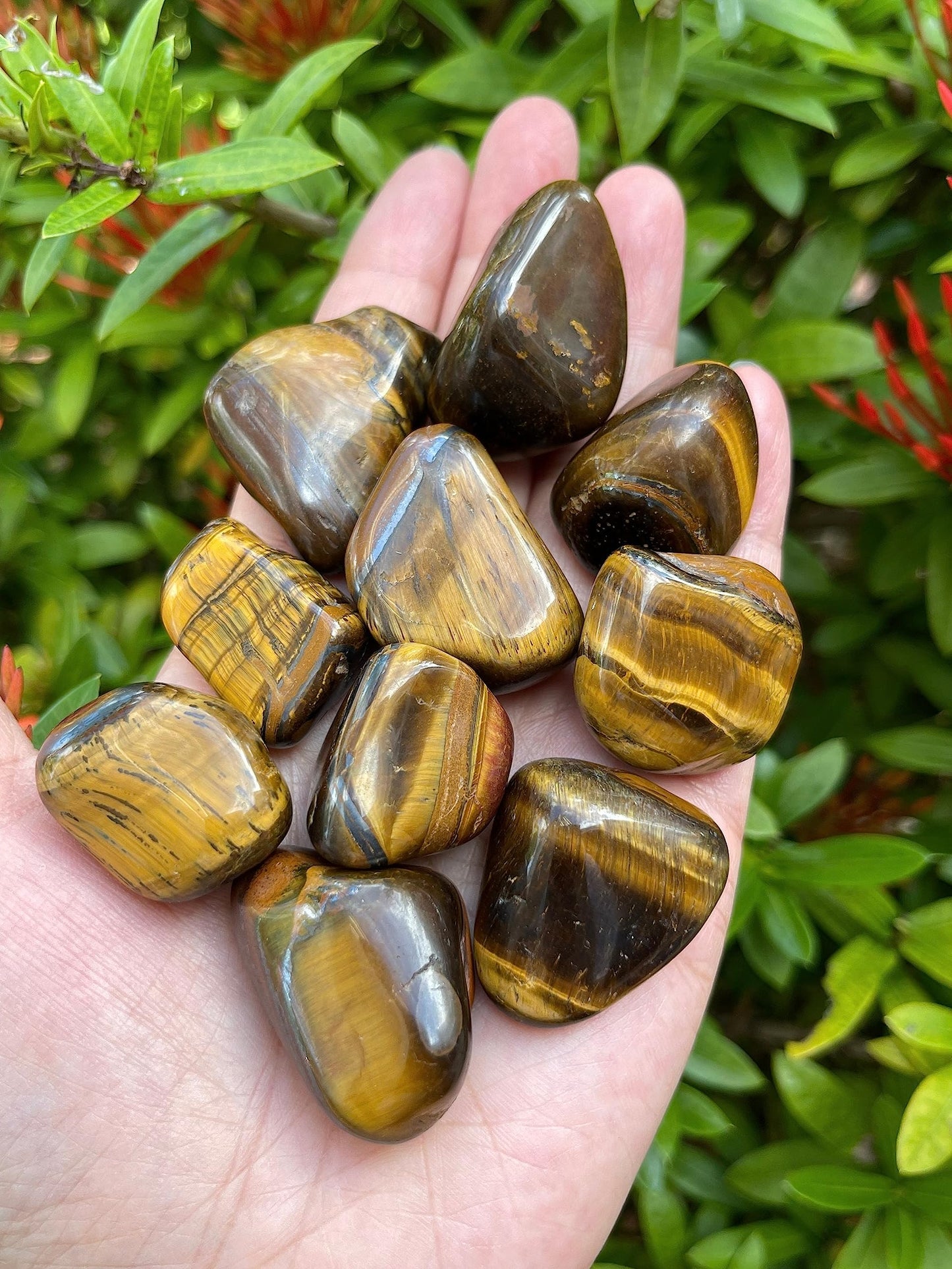 GAF TREASURES 5 Pcs Tiger Eye Tumbled Stones, Polished Natural Tiger Eye Gemstone, Tiger Eye Healing Crystals (Tiger Eye)