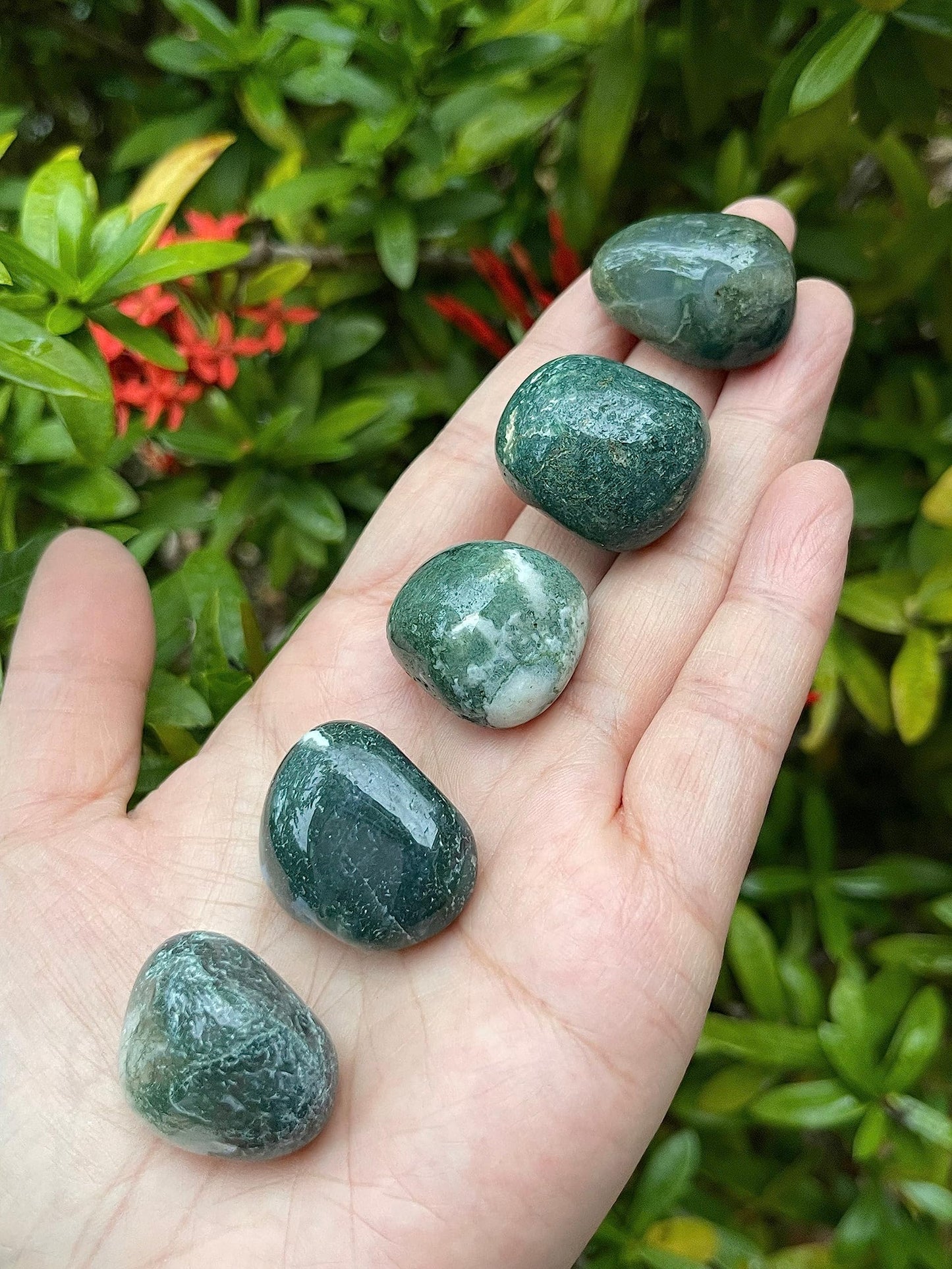 GAF TREASURES 5 Pcs Moss Agate Tumbled Stones, Polished Natural Moss Agate Gemstone, Moss Agate Healing Crystals (Moss Agate)