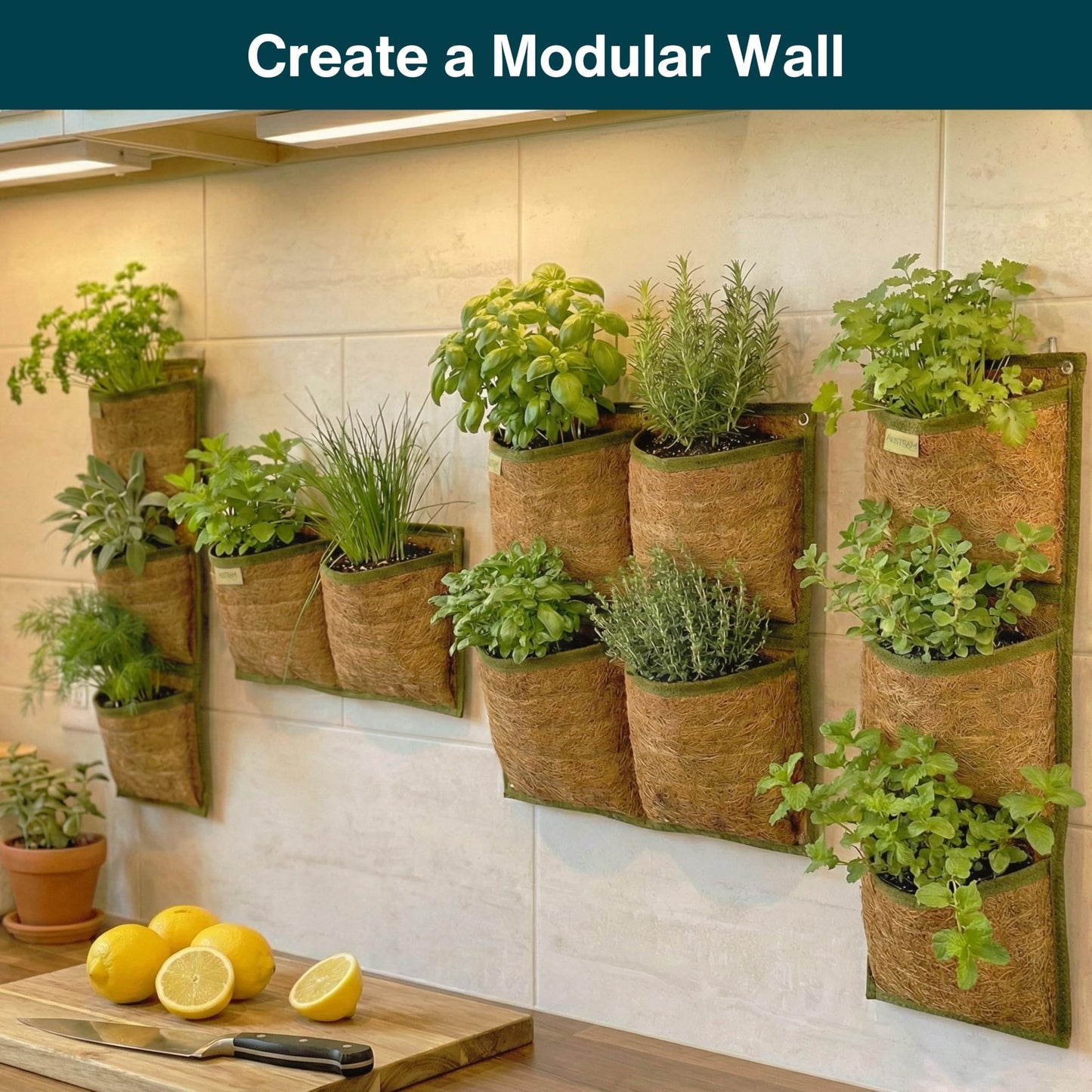 Austram Wall Hanging Planter, 2 Pocket, Hanging herb Planter, wall Mounted Plant Holder, Vertical herb Garden, Plant Hanger Indoor, Boho Kitchen Decor, Porch and Balcony Decor, Fence planters