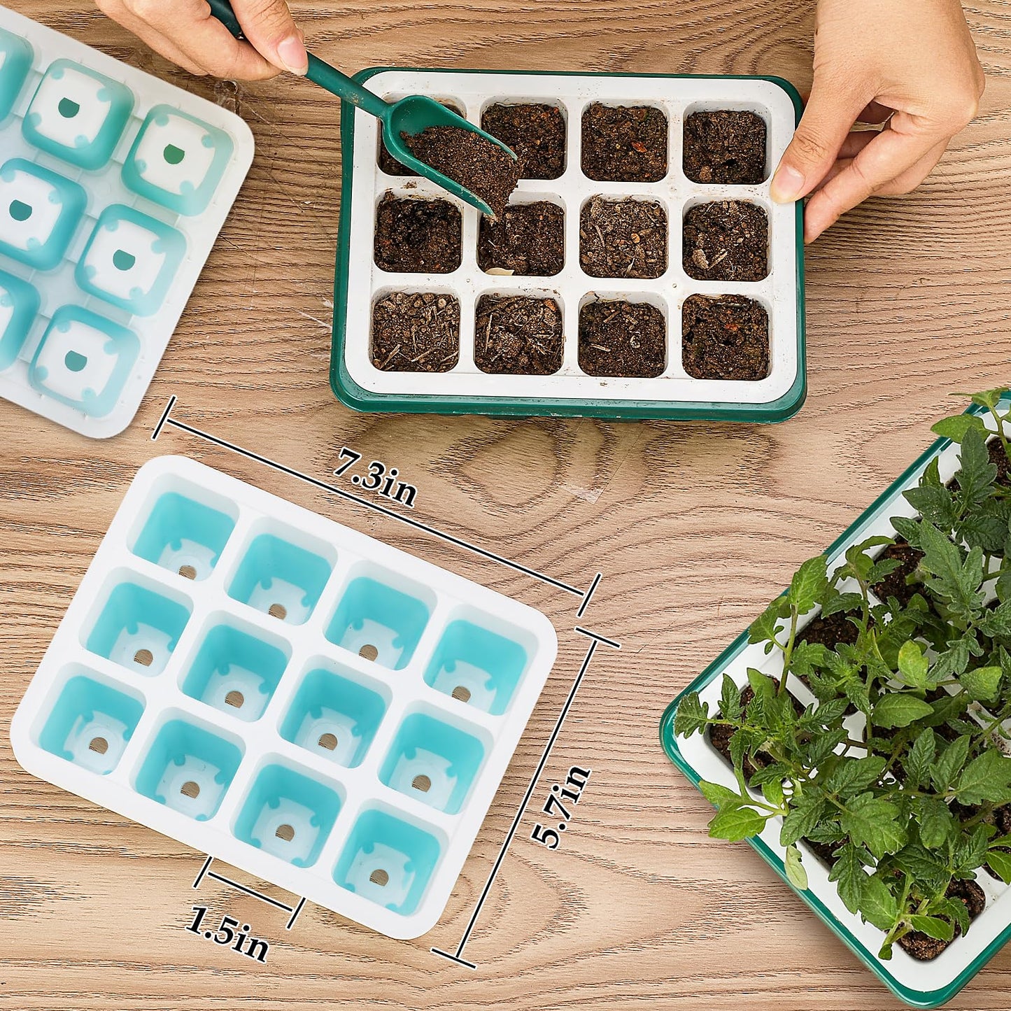 Hanaoyo 12 PCS Reusable Seed Starter Tray, 144 Cells Seed Starter Kit with Flexible Pop-Out Cells, Seedling Starter Trays for Seed Starter, Indoor Greenhouse Seeding Planting Growing