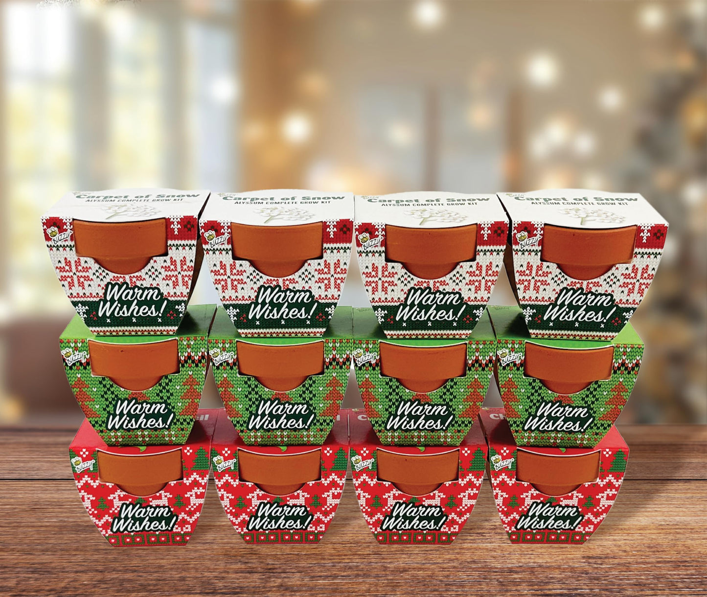 BUZZY Seeds Sweater Pattern Mini Terracotta Pots Grow Kit, 12-Pack Assorted Christmas Basil, Spruce, and Alyssum Seed Packets, Indoor Plant Starter Set, Stocking Stuffers, Party Favors