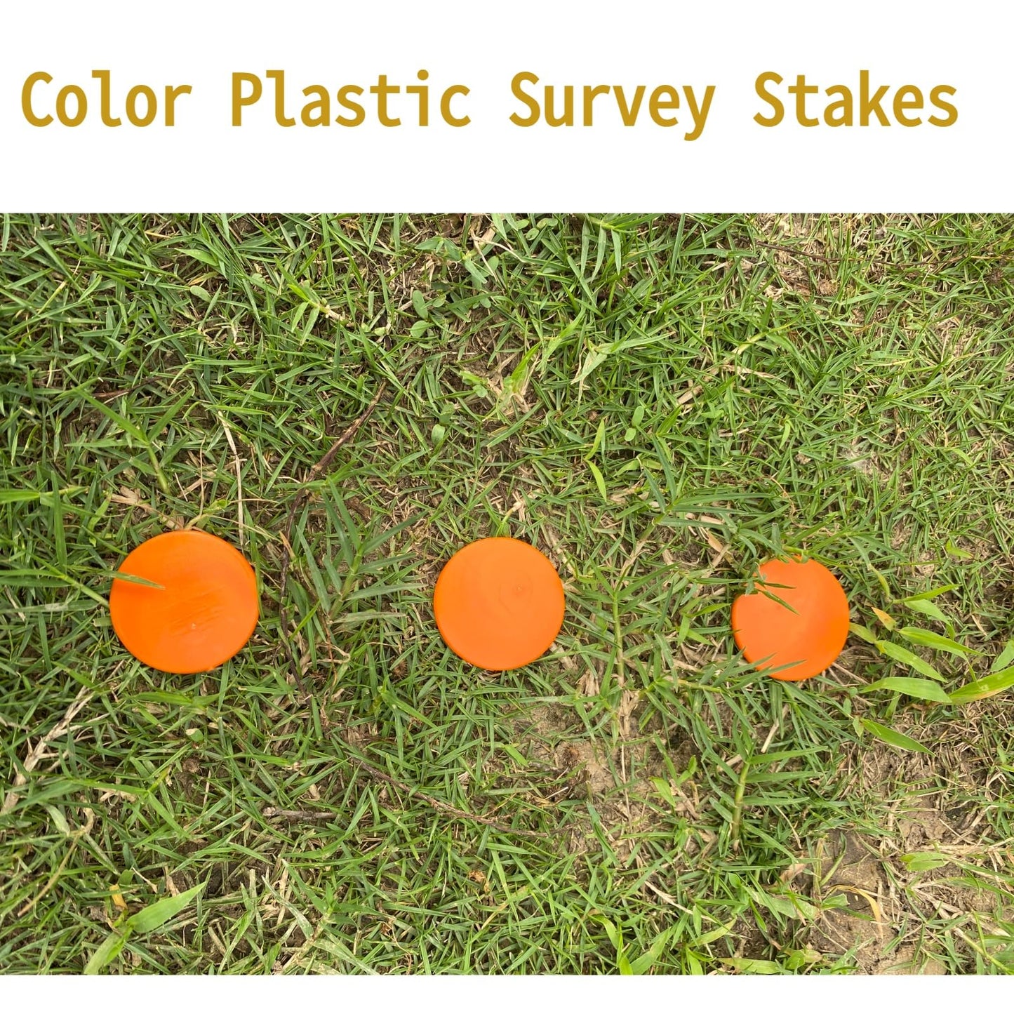 indiedouker Property Line Markers - Unbreakable 6.3" Barbed Stakes for Ground and Survey Use (Color Plastic, 40)
