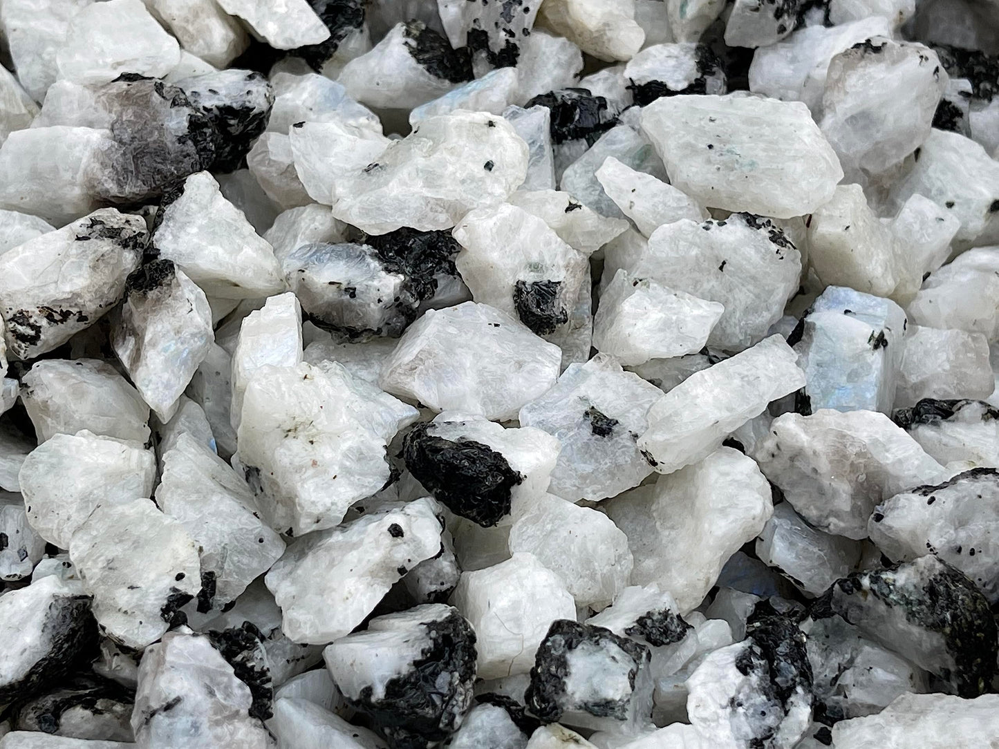 GAF TREASURES Wholesale Raw Rainbow Moonstone Crystals, Natural Rainbow Moonstone Stone, Rainbow Moonstone Rough, Rainbow Moonstone Healing Crystals (Rainbow Moonstone, 0.5 Pound)