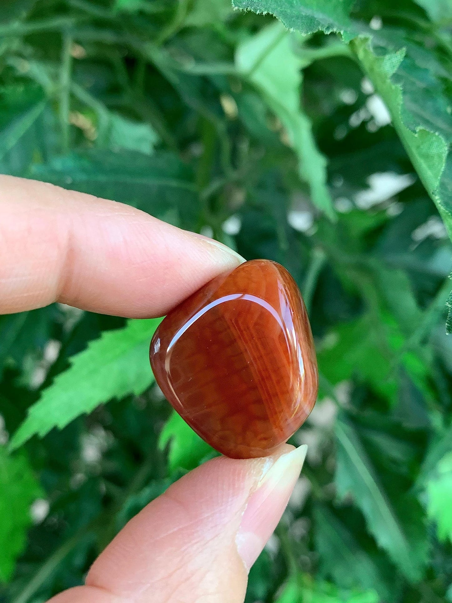 GAF TREASURES 5 Pcs Fire Agate Tumbled Stones, Polished Fire Agate Gemstone, Fire Agate Healing Crystals