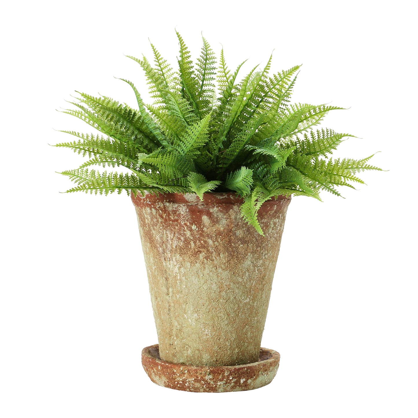 Creative Co-Op Cement Planter with Saucer, Distressed Terra-Cotta Finish, Holds 5" Pot
