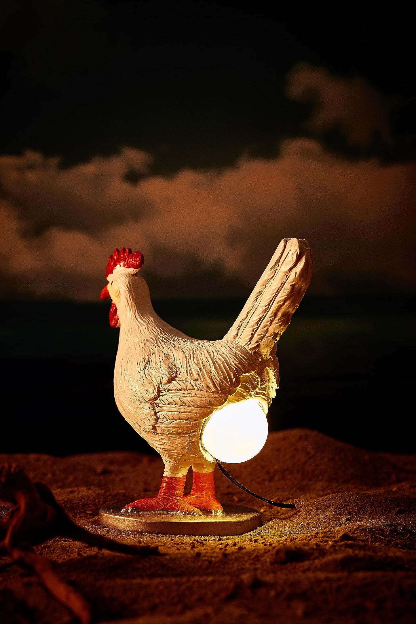 BooLai Chicken Egg lamp,3D Chicken lamp,Lifelike LED Egg Lamp, Funny Resin Chicken Egg Night Light with USB, Colorful Box Packing (A)